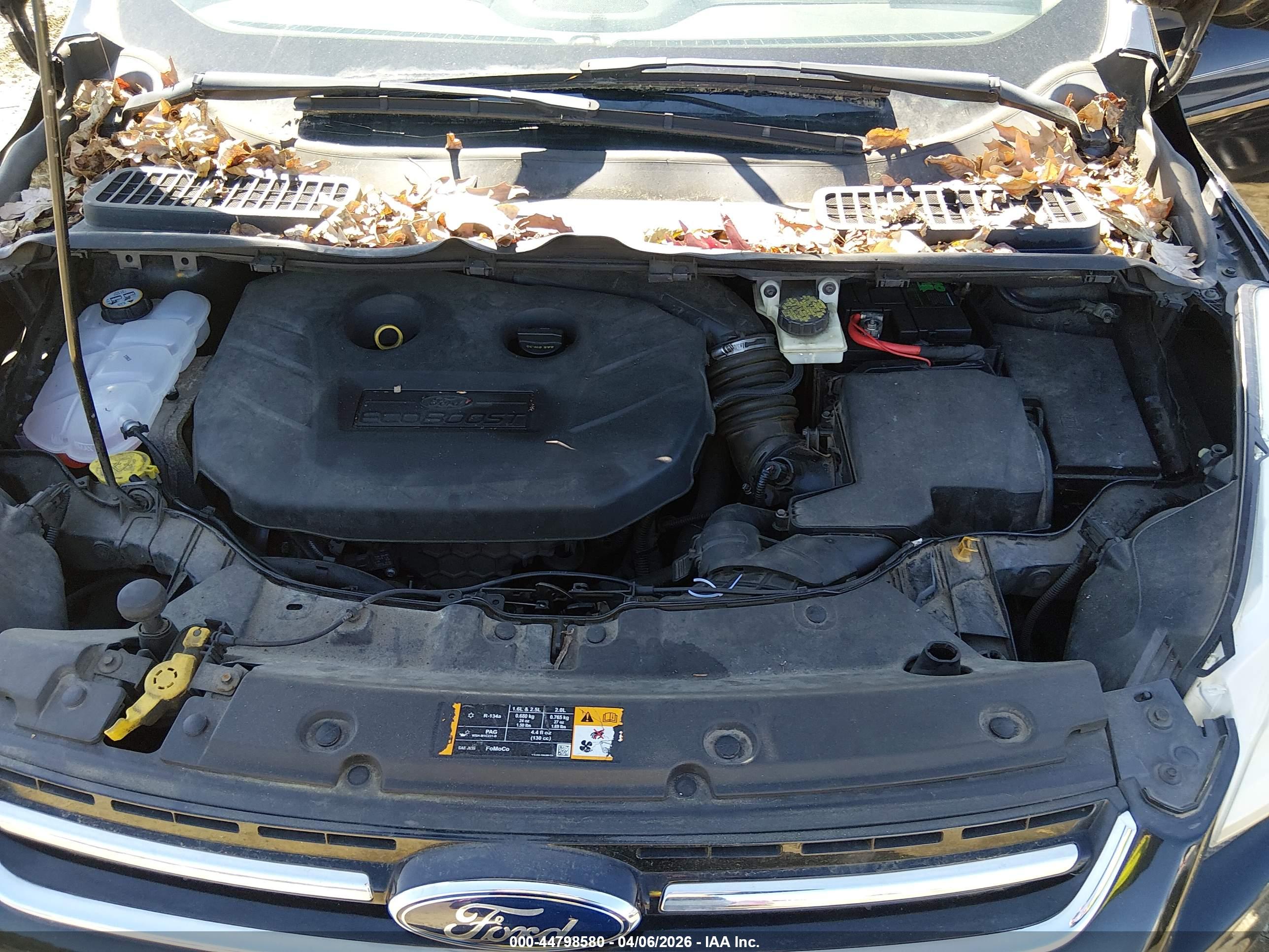 FORD ESCAPE image 10