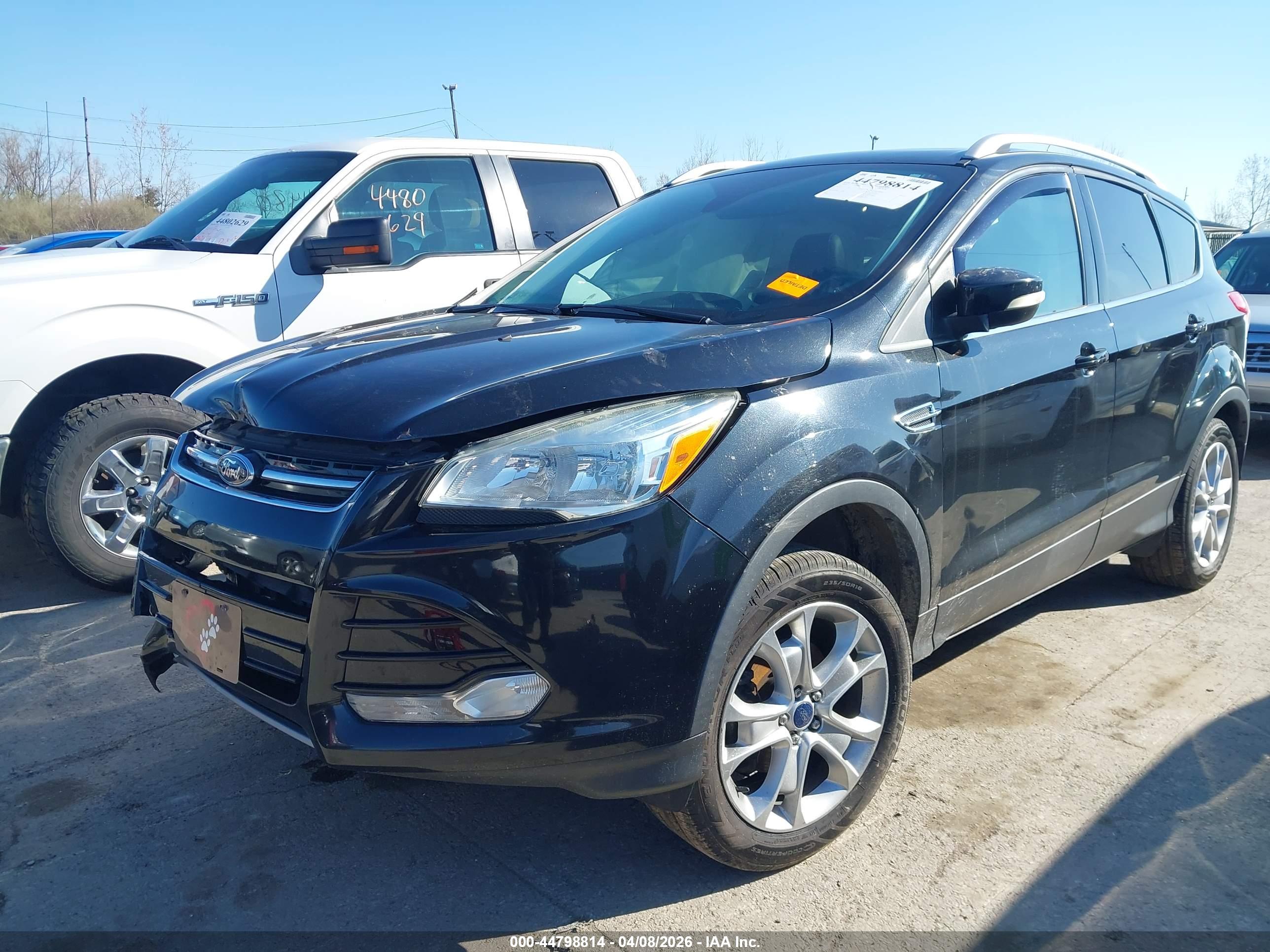 FORD ESCAPE image 2