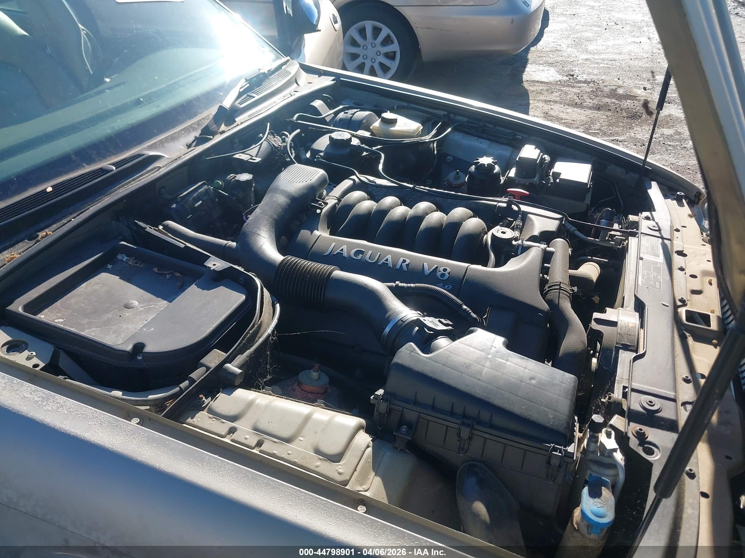 JAGUAR XJ8 image 10