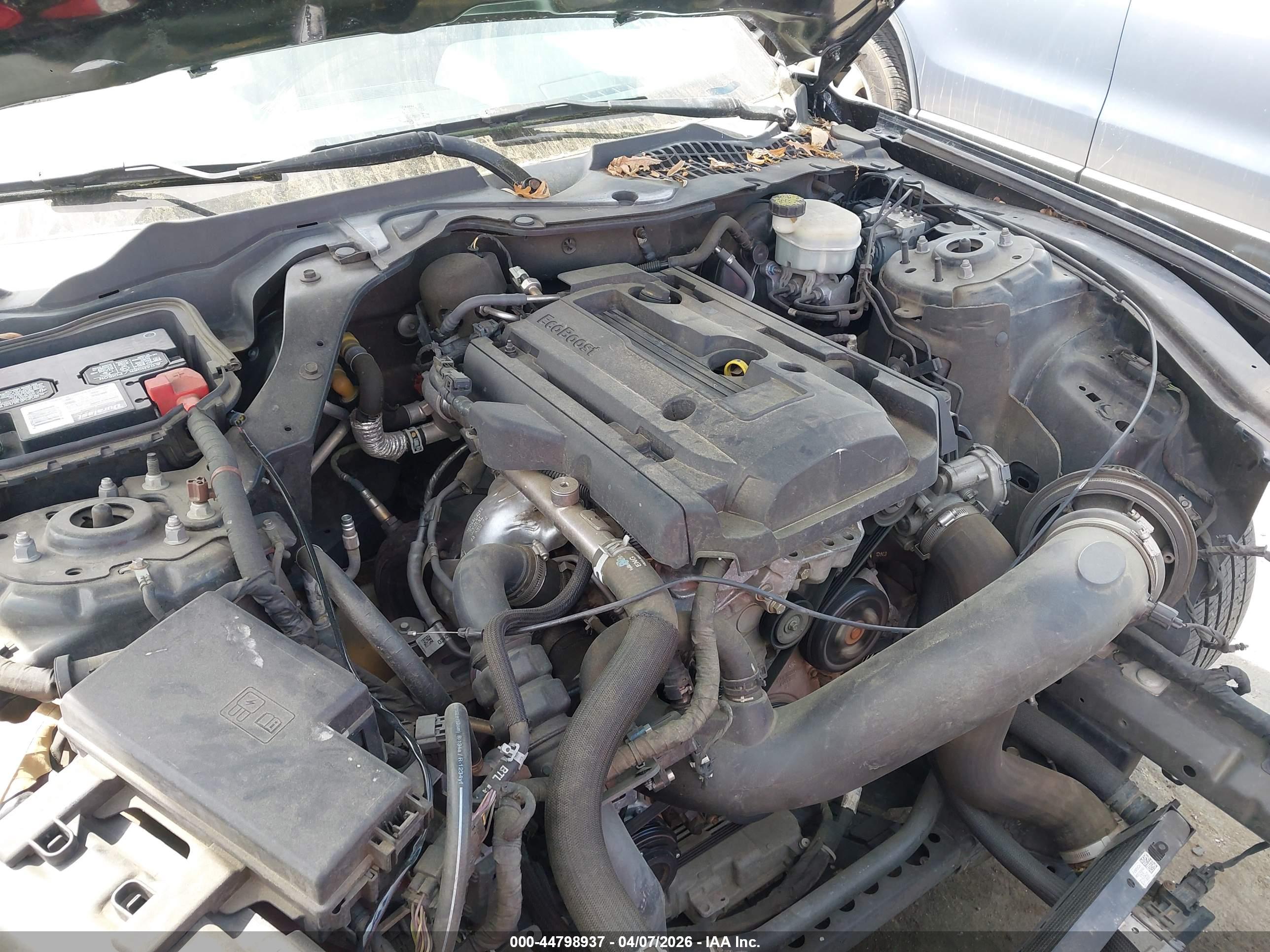 FORD MUSTANG image 10