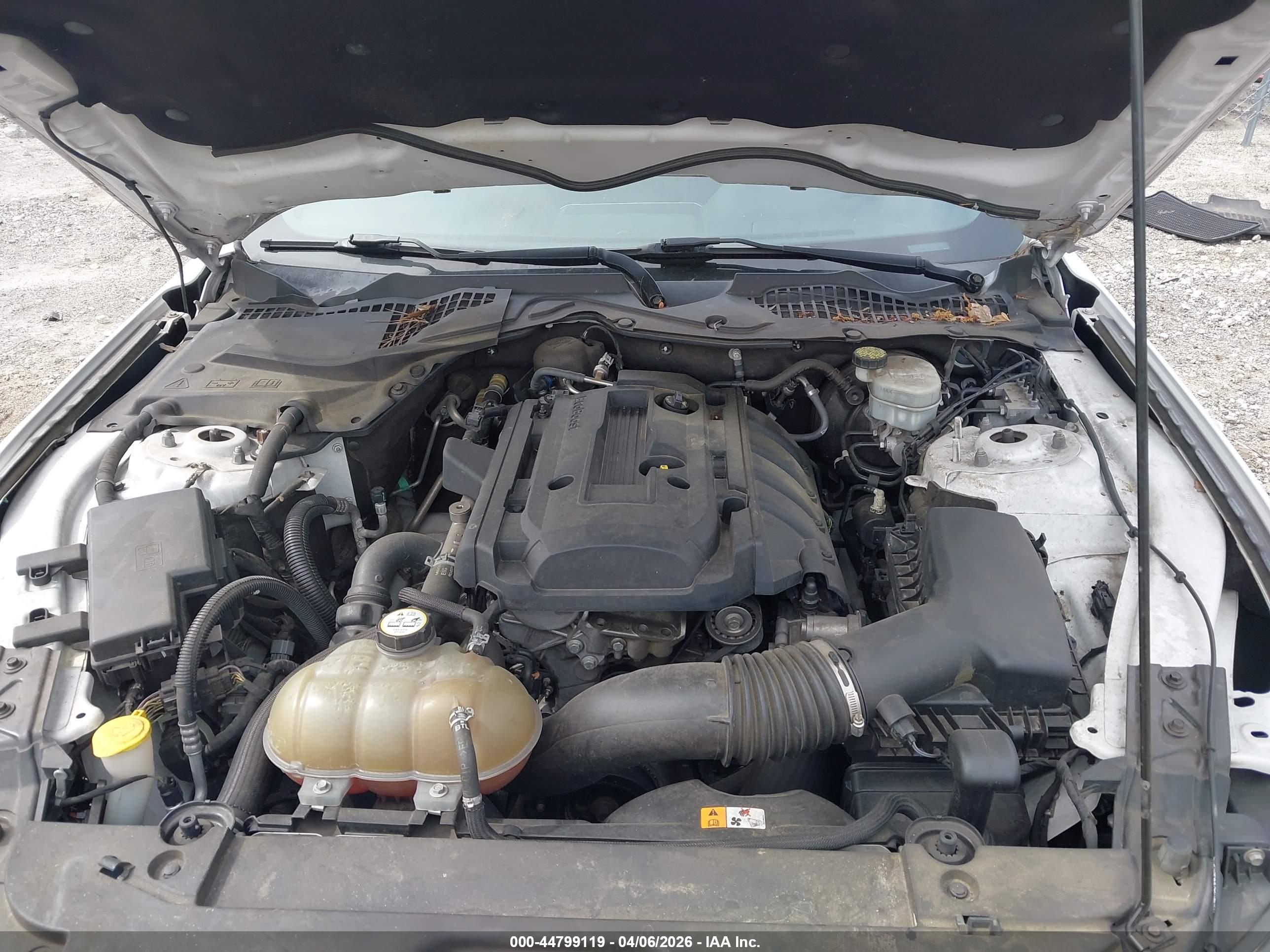 FORD MUSTANG image 10