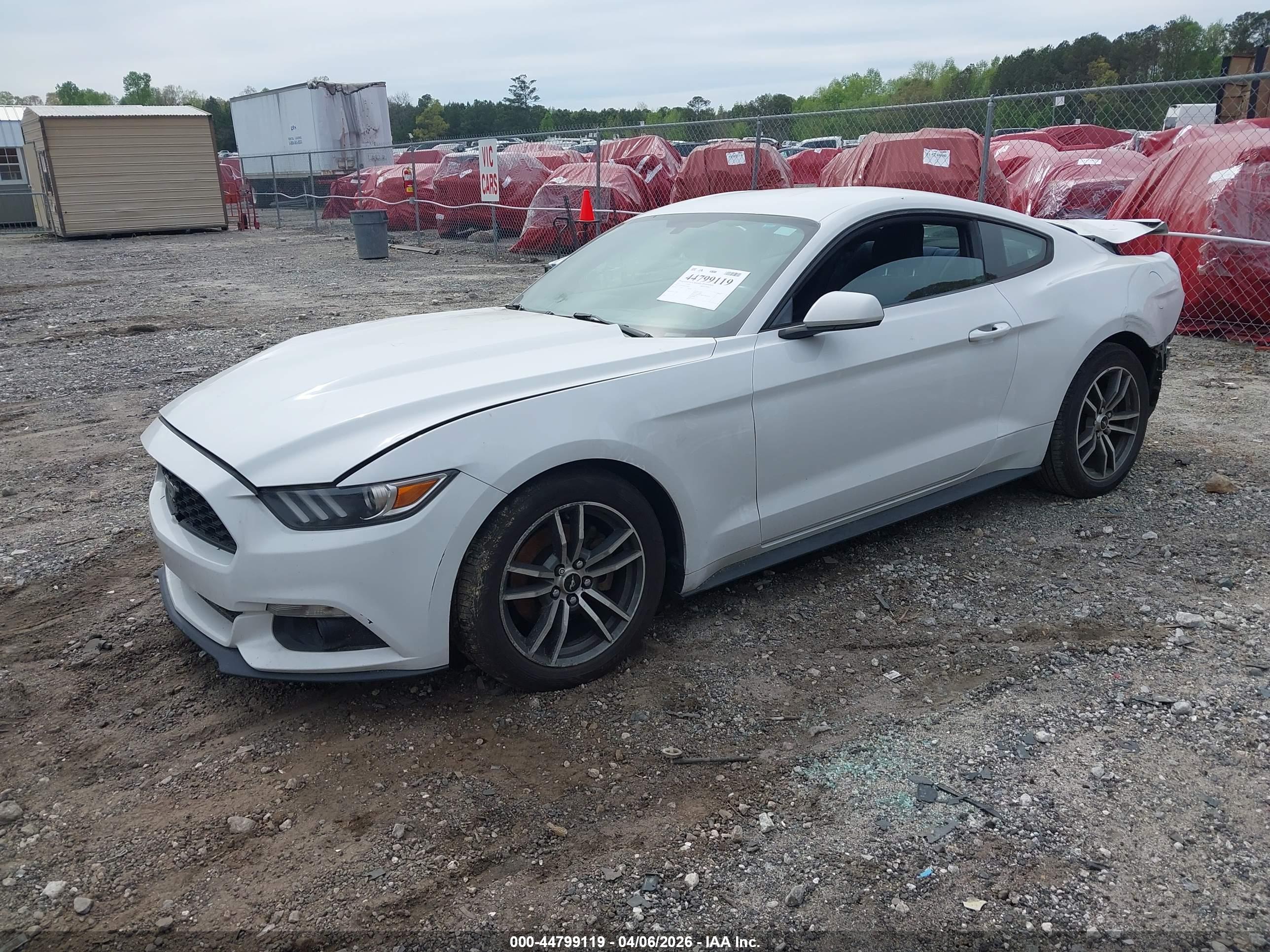 FORD MUSTANG image 2