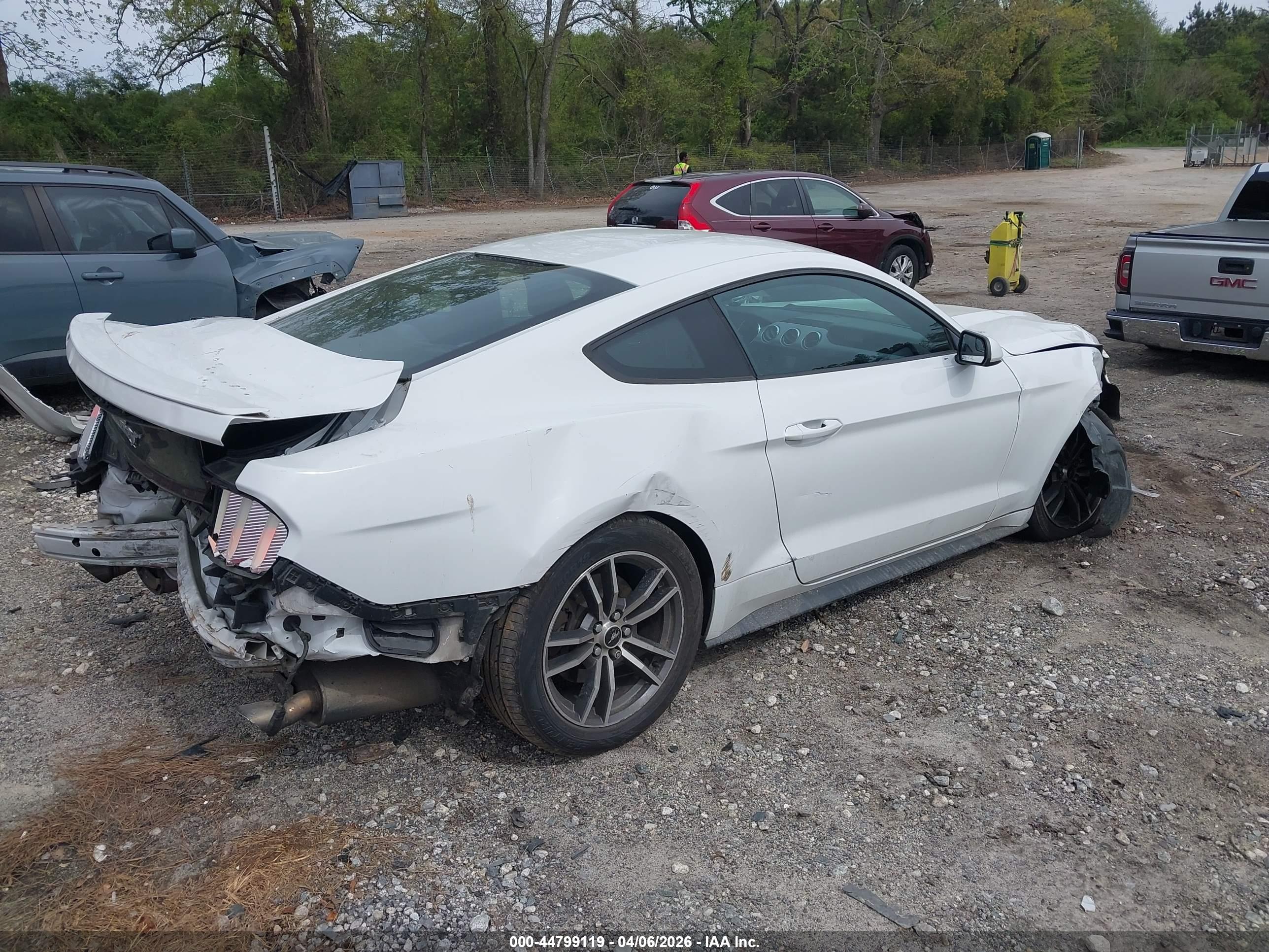 FORD MUSTANG image 4
