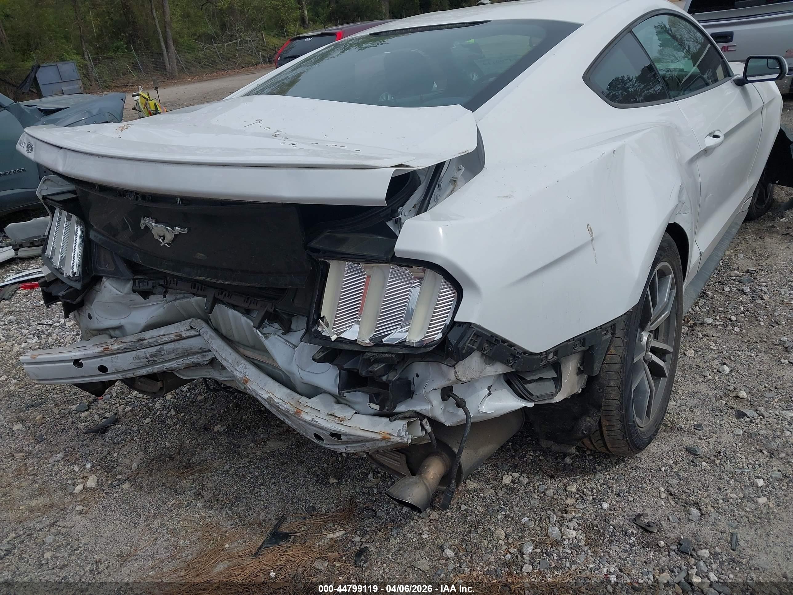FORD MUSTANG image 6