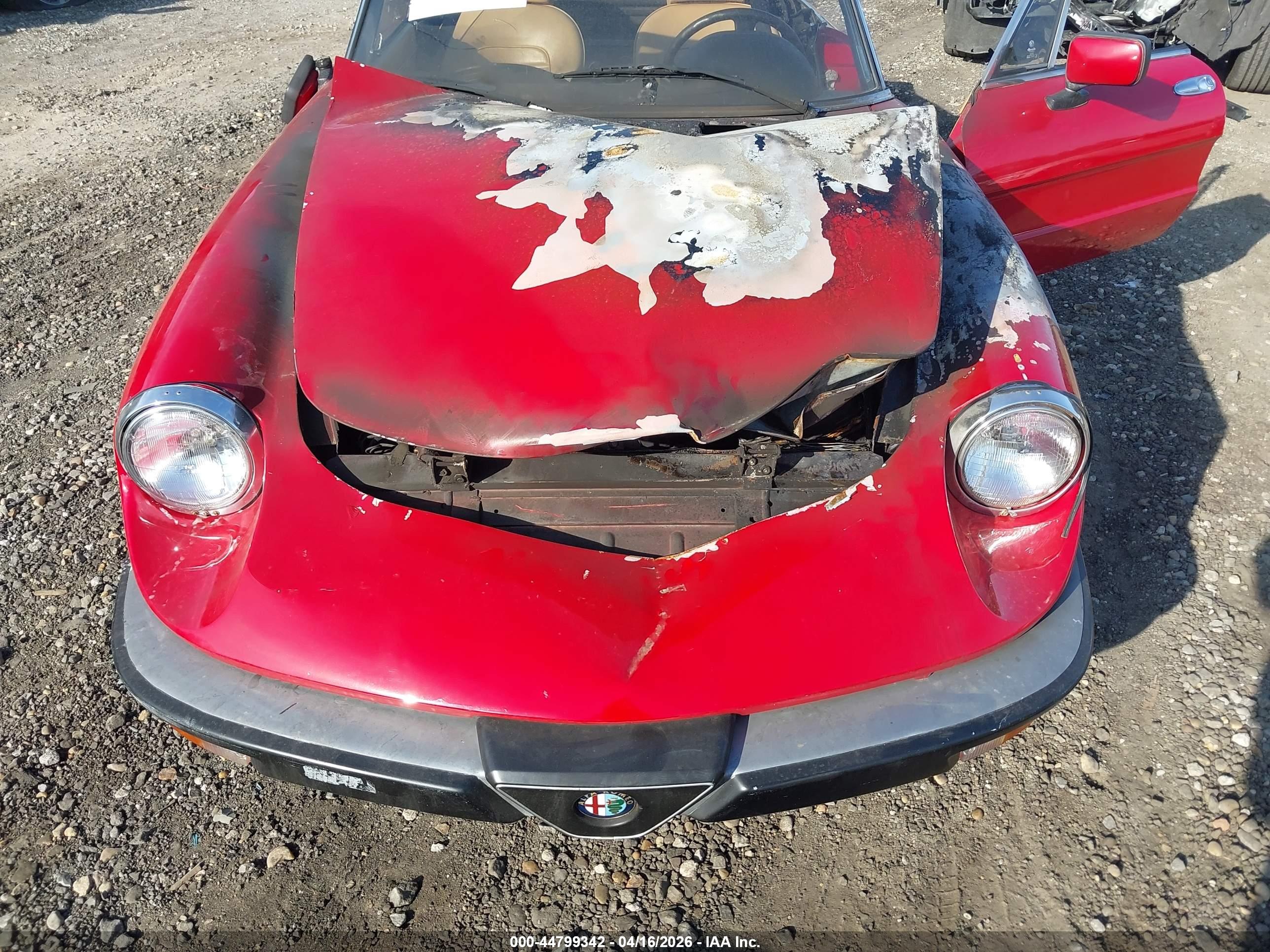 ALFA ROMEO image 10
