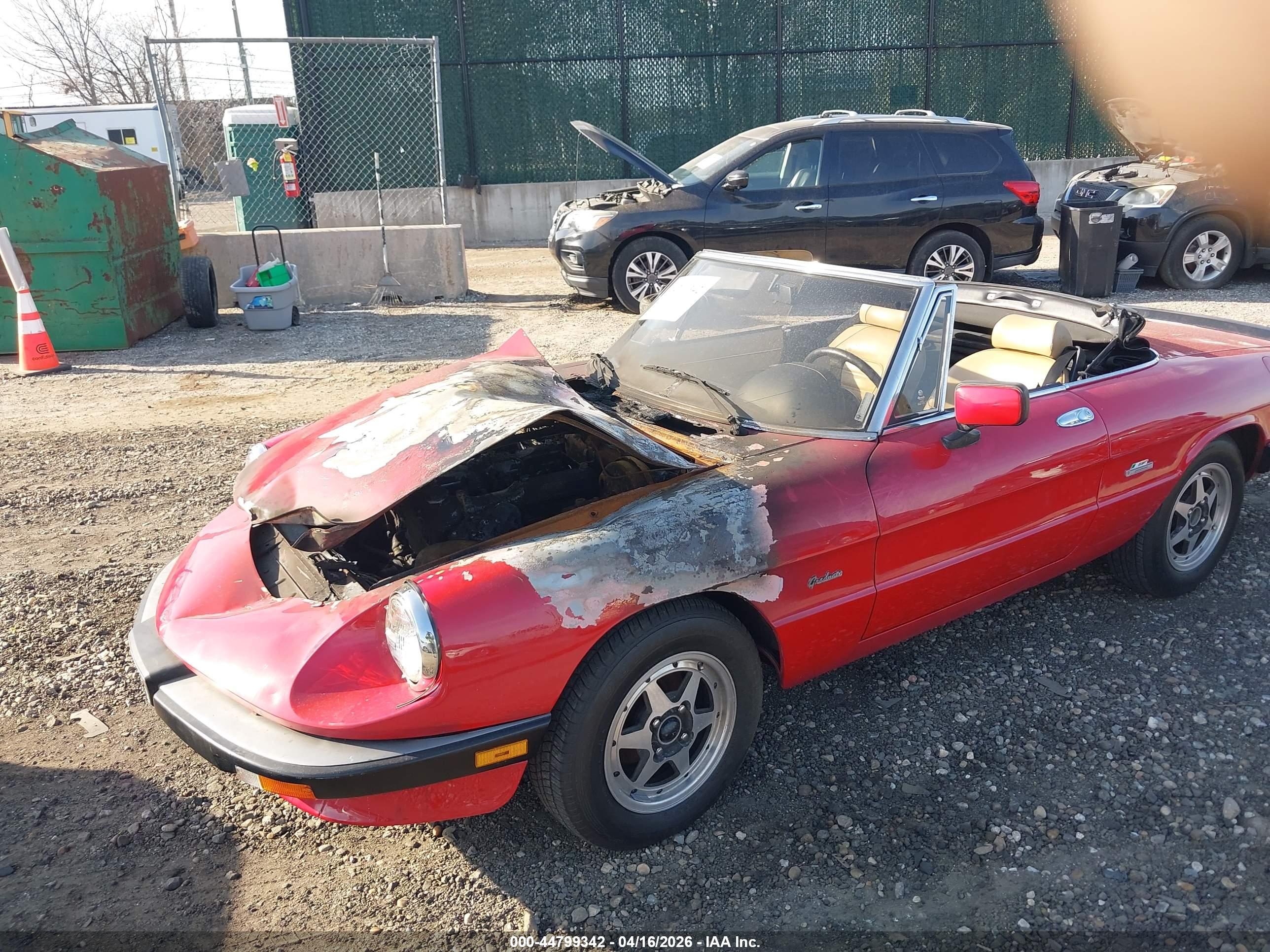 ALFA ROMEO image 2