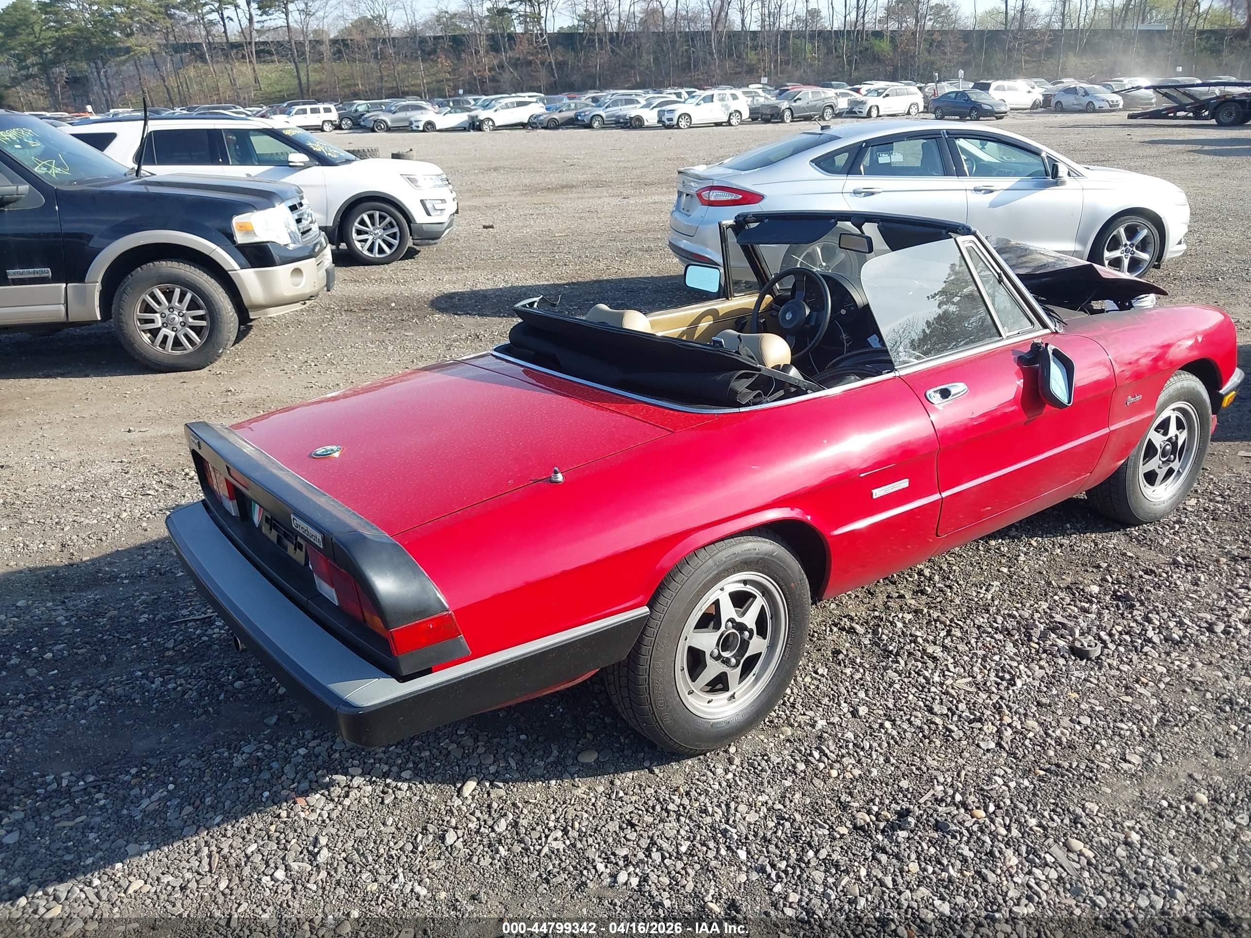ALFA ROMEO image 4
