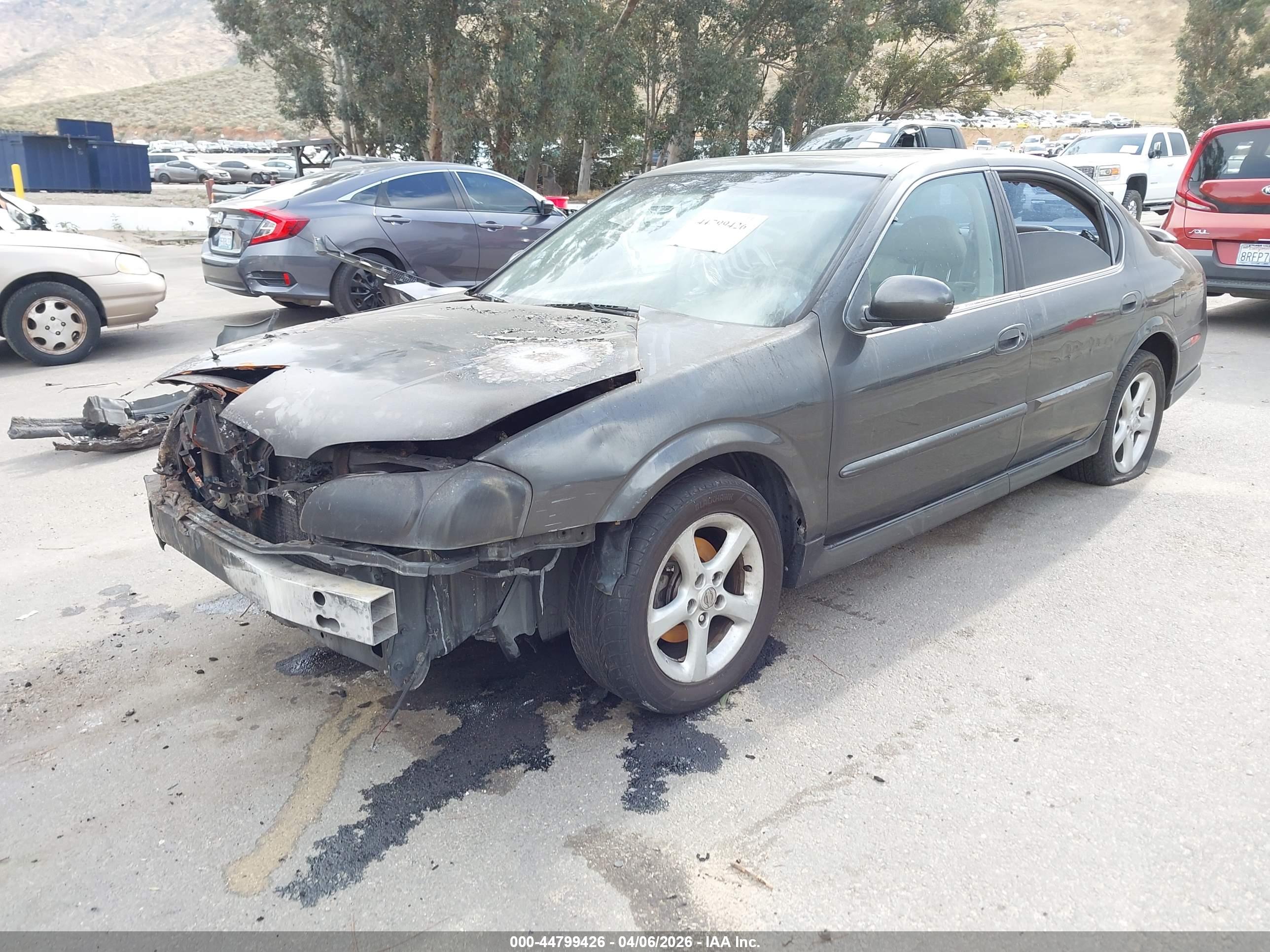 NISSAN MAXIMA image 2