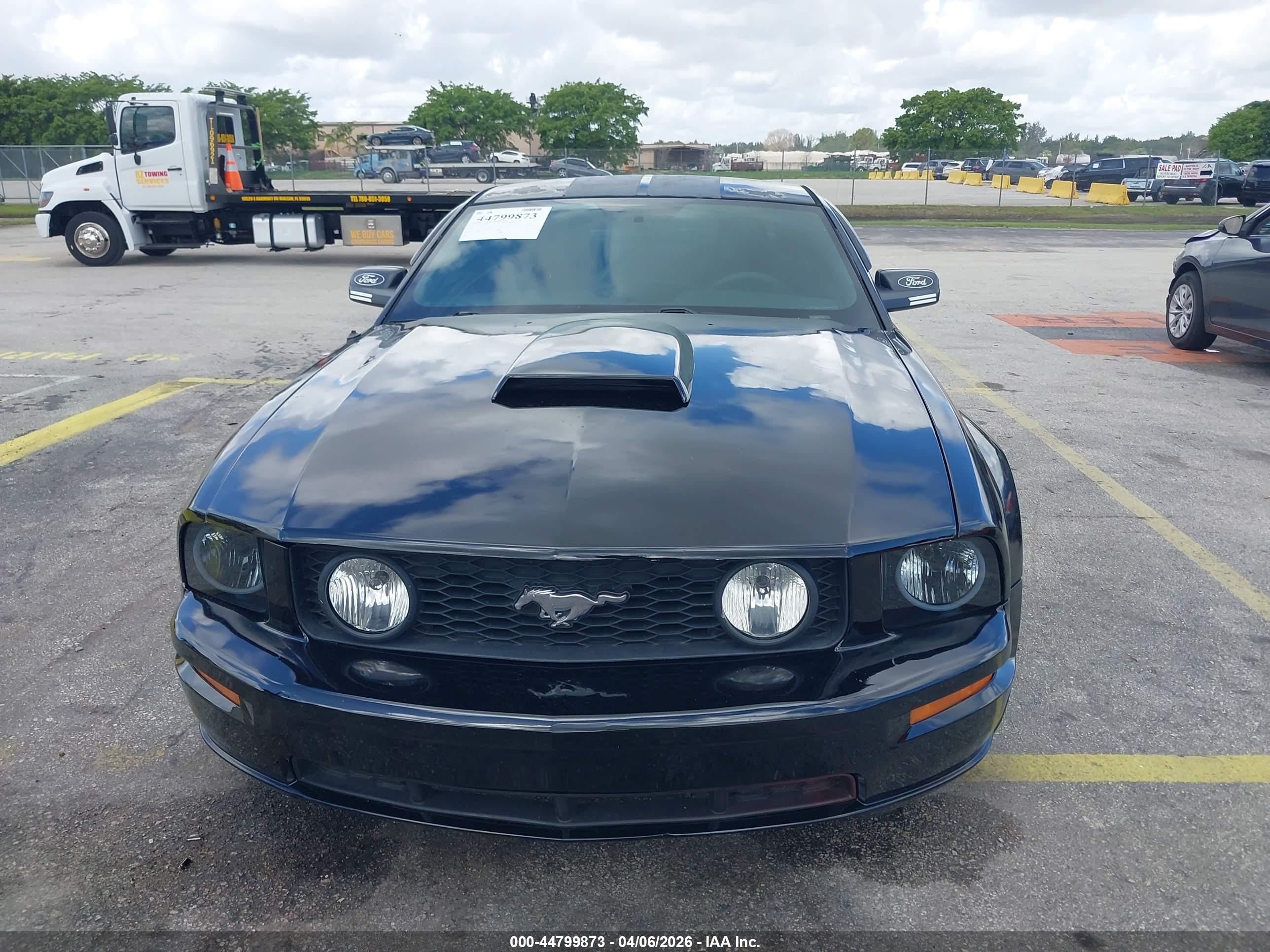FORD MUSTANG image 6