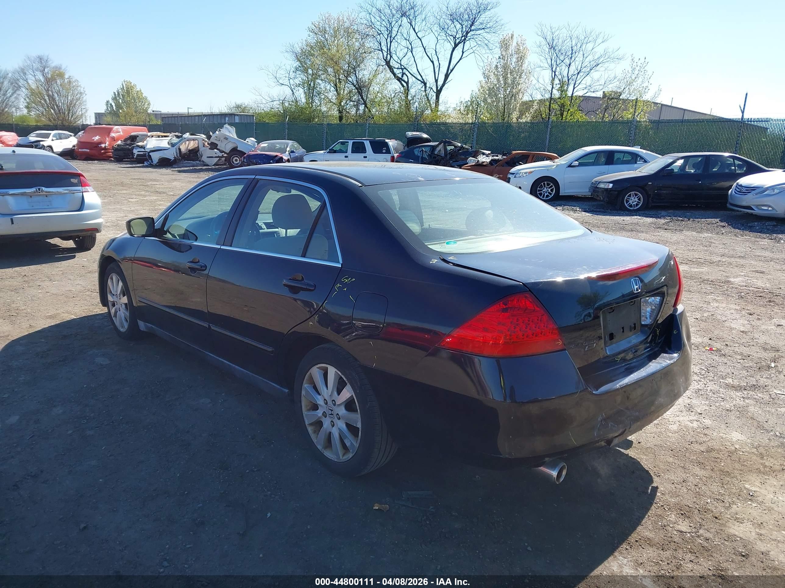 HONDA ACCORD image 3
