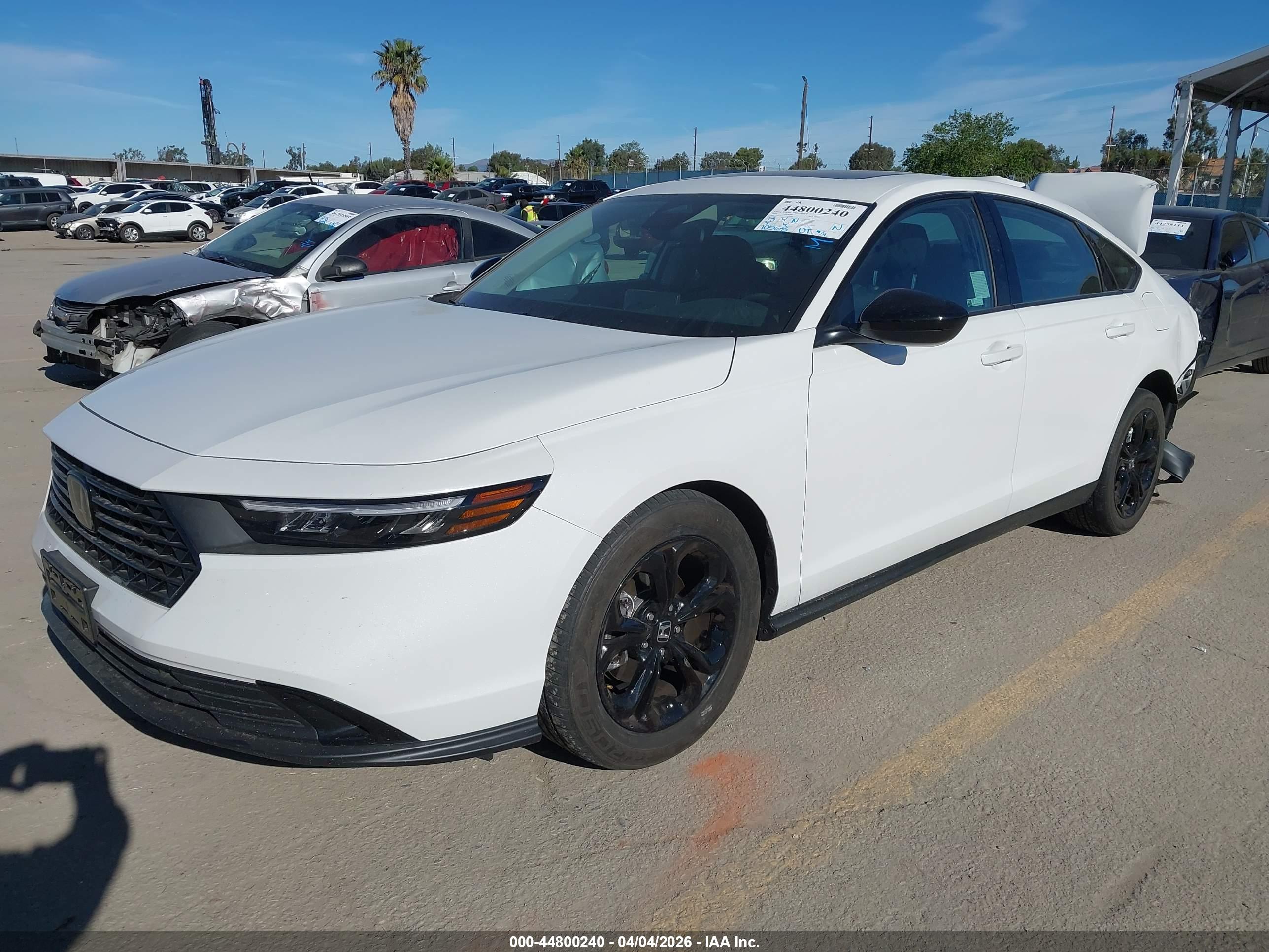 HONDA ACCORD image 2