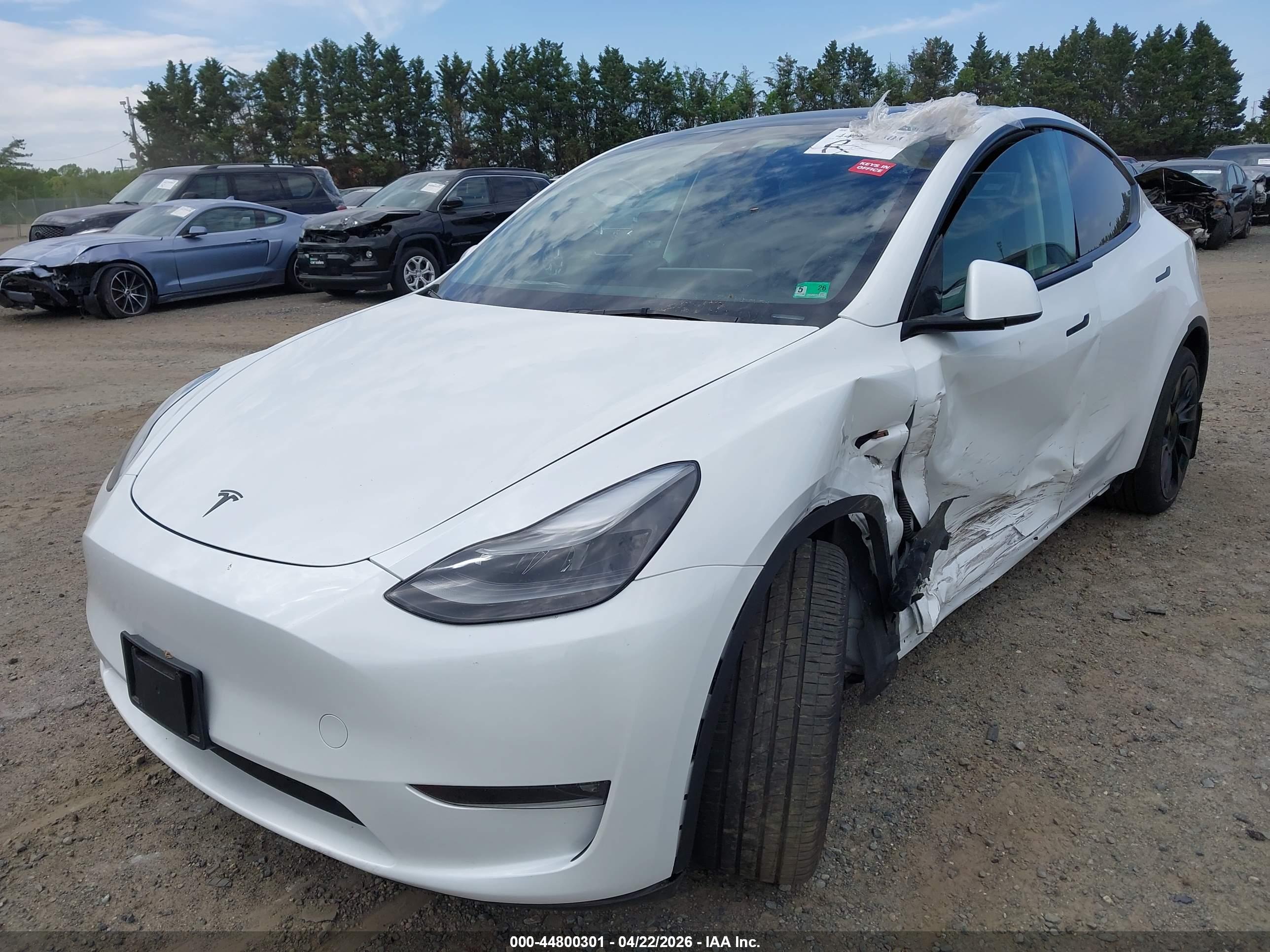 TESLA MODEL image 2