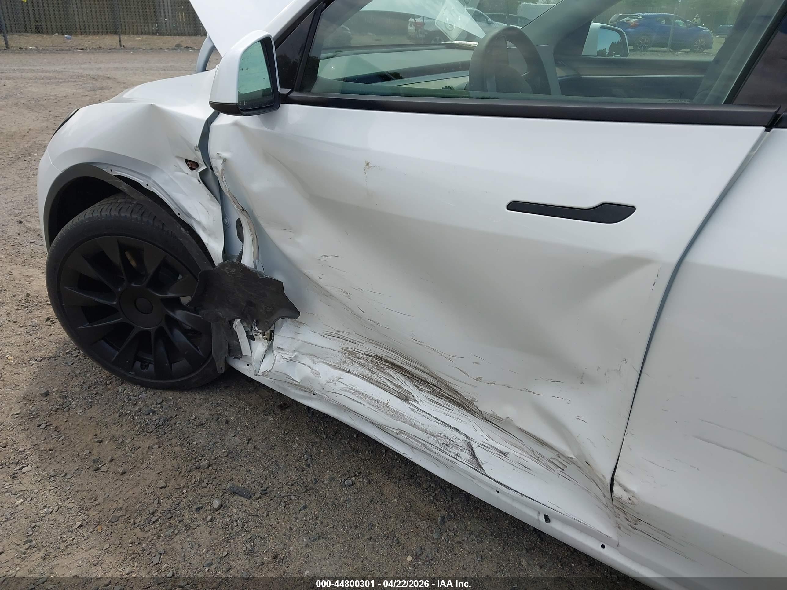 TESLA MODEL image 6