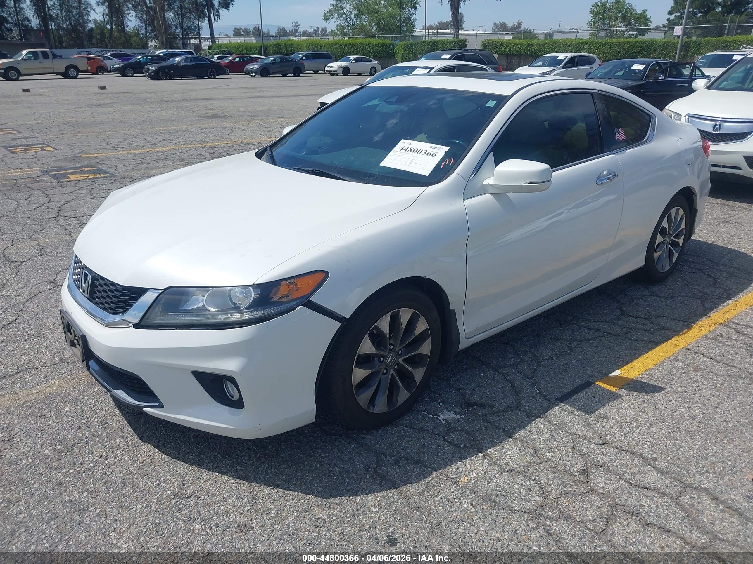 HONDA ACCORD image 2