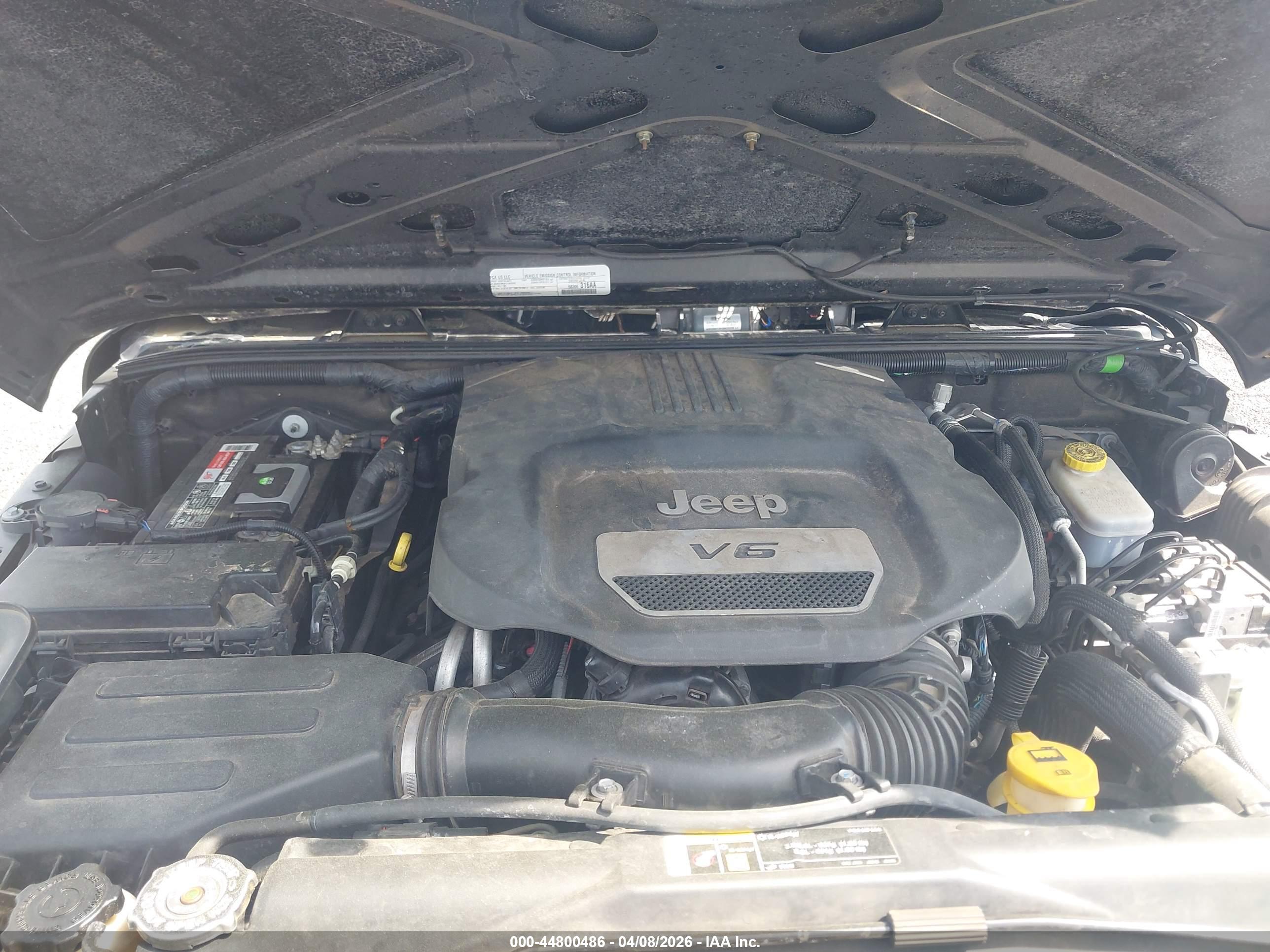 JEEP WRANGLER image 6
