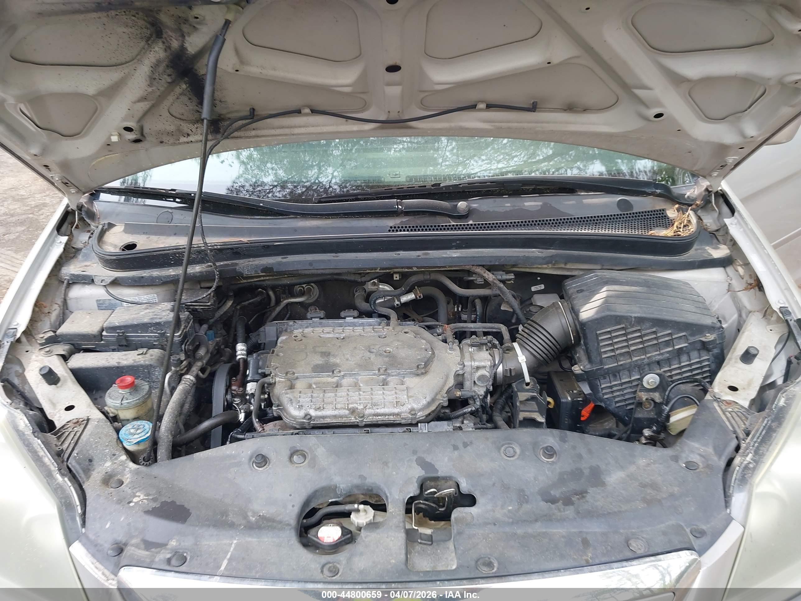 HONDA ODYSSEY image 10