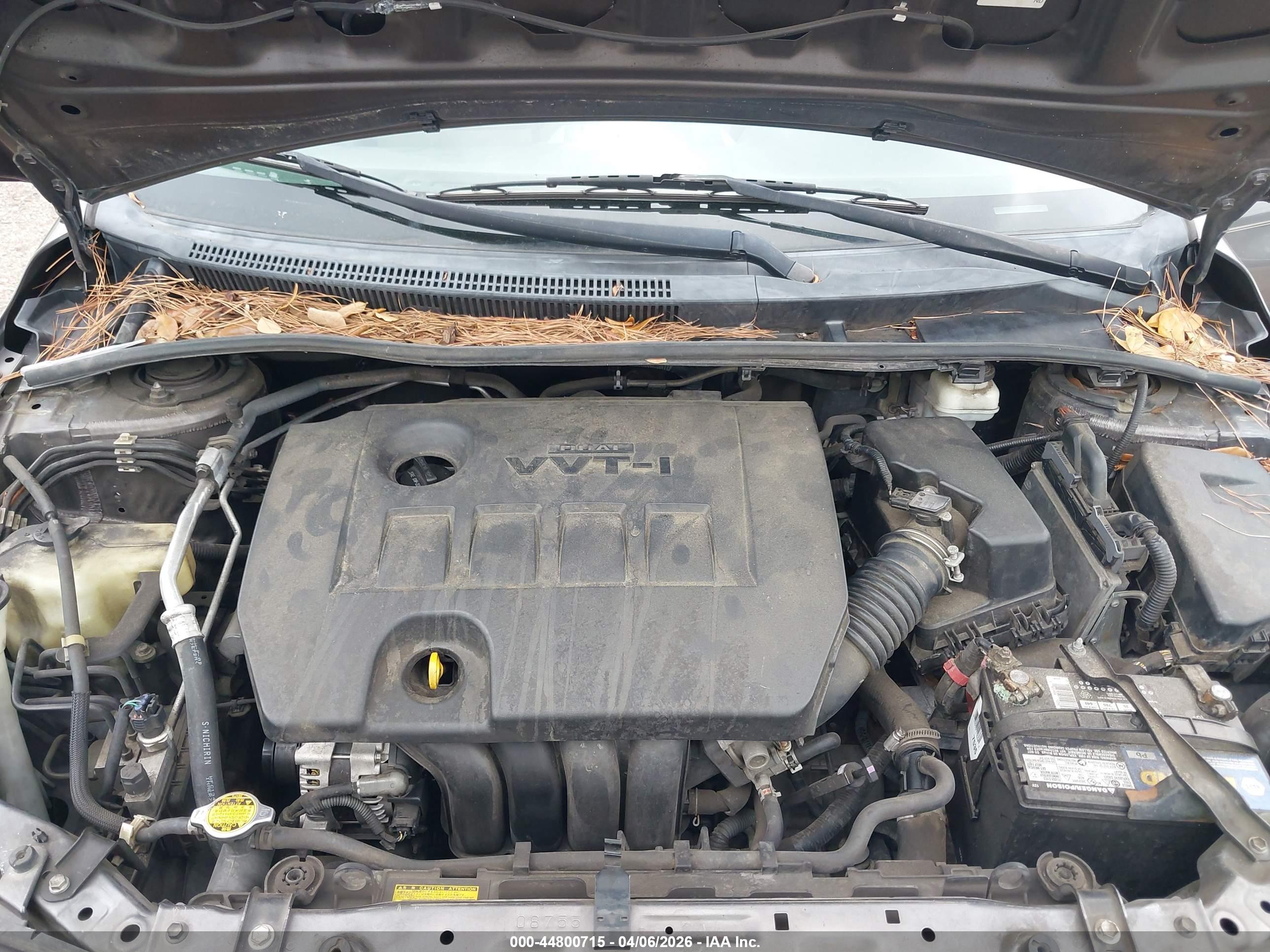 TOYOTA COROLLA image 10