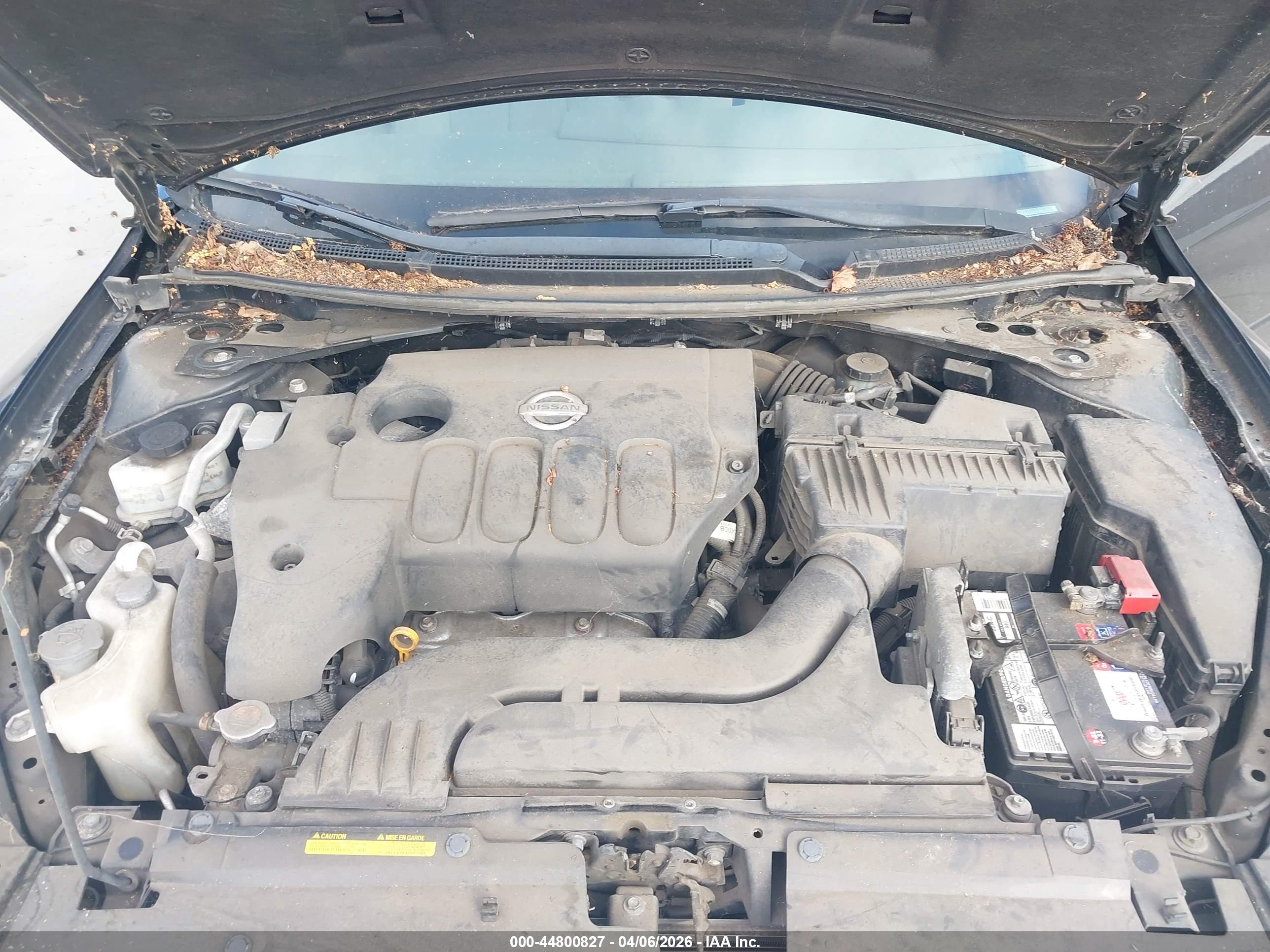 NISSAN ALTIMA image 10
