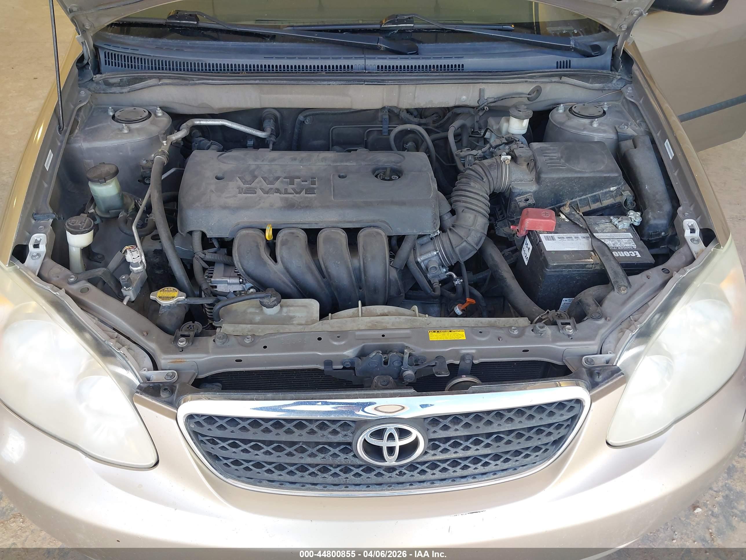 TOYOTA COROLLA image 10