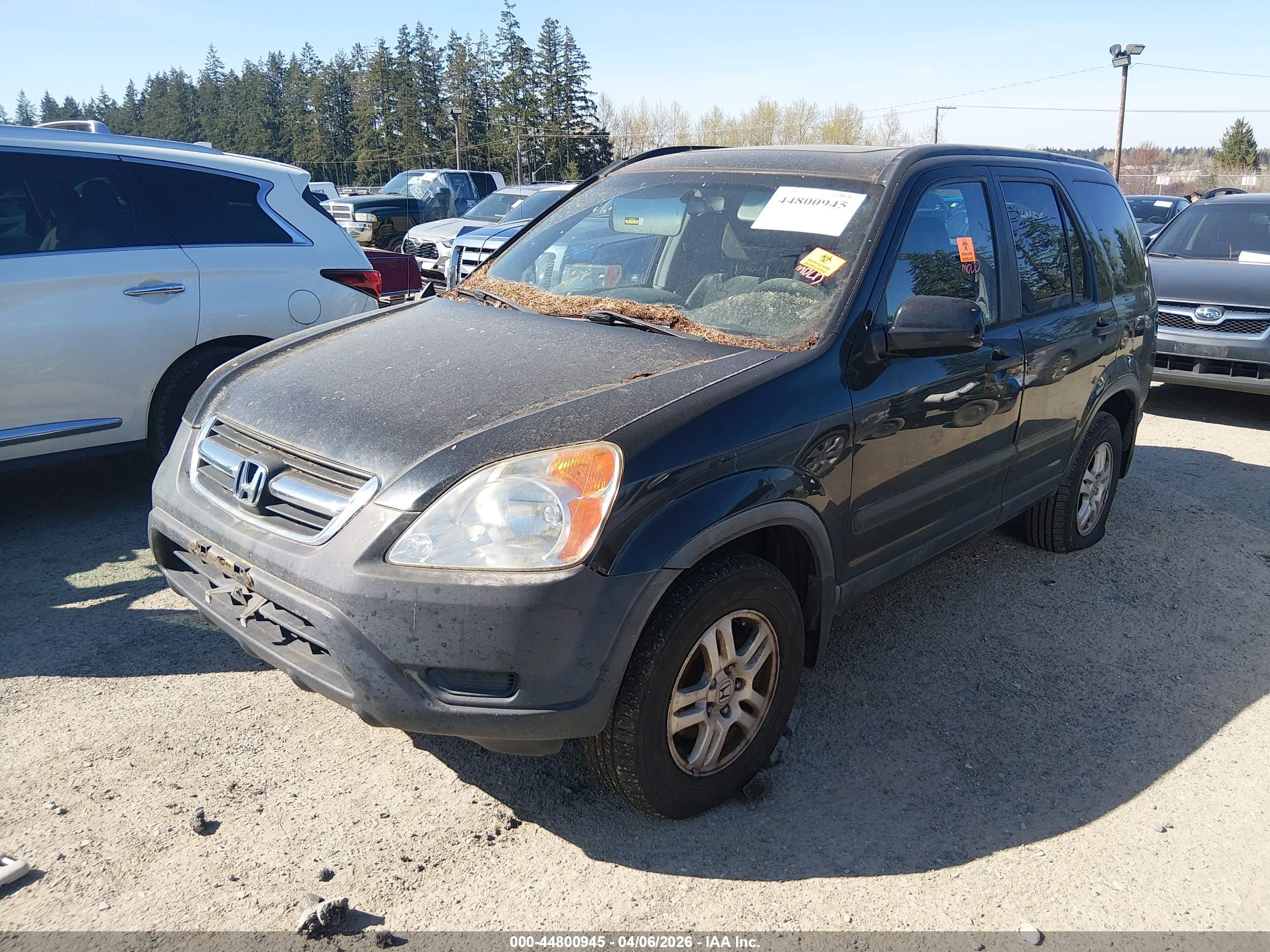 HONDA CR-V image 2