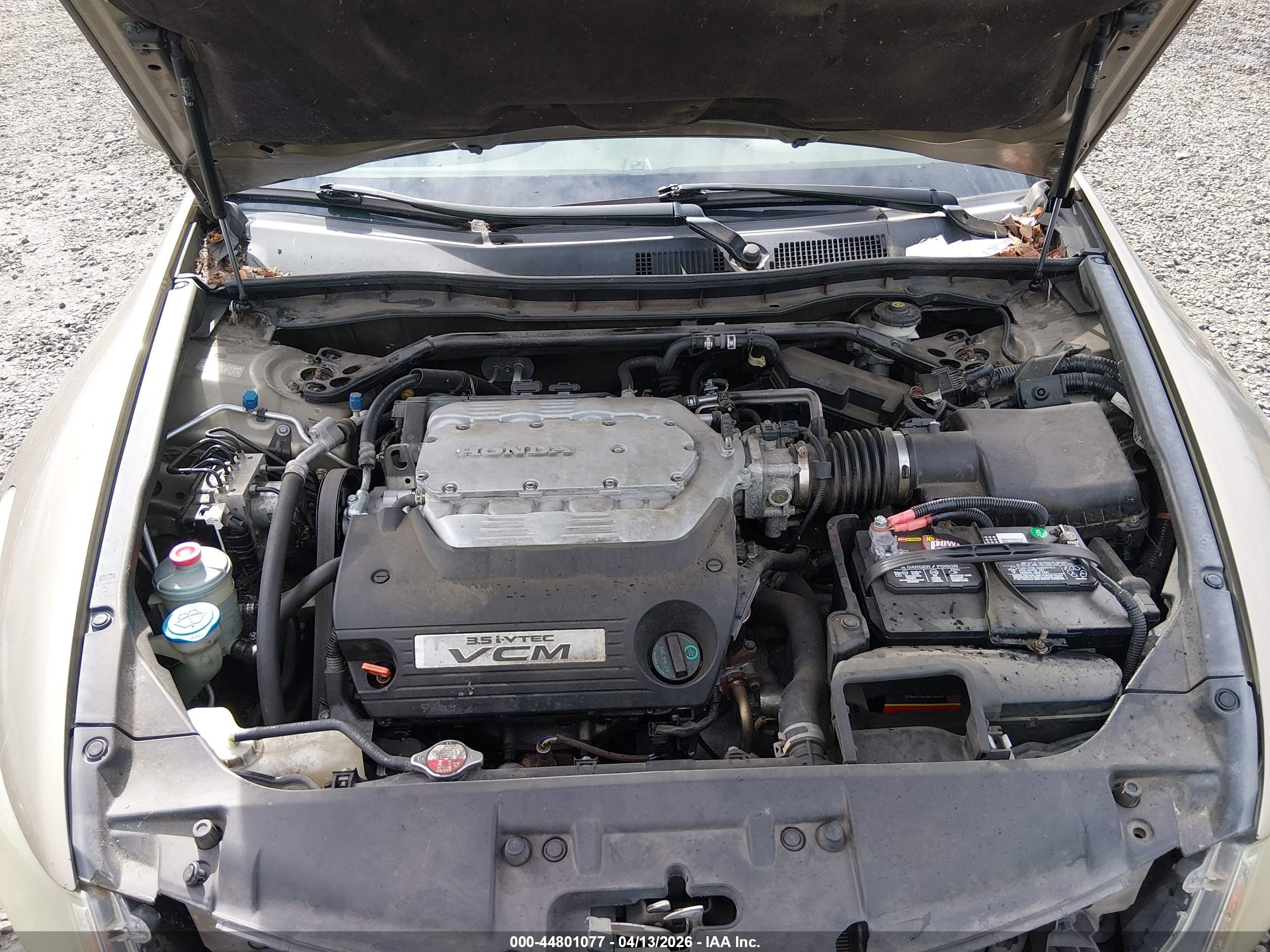 HONDA ACCORD image 10