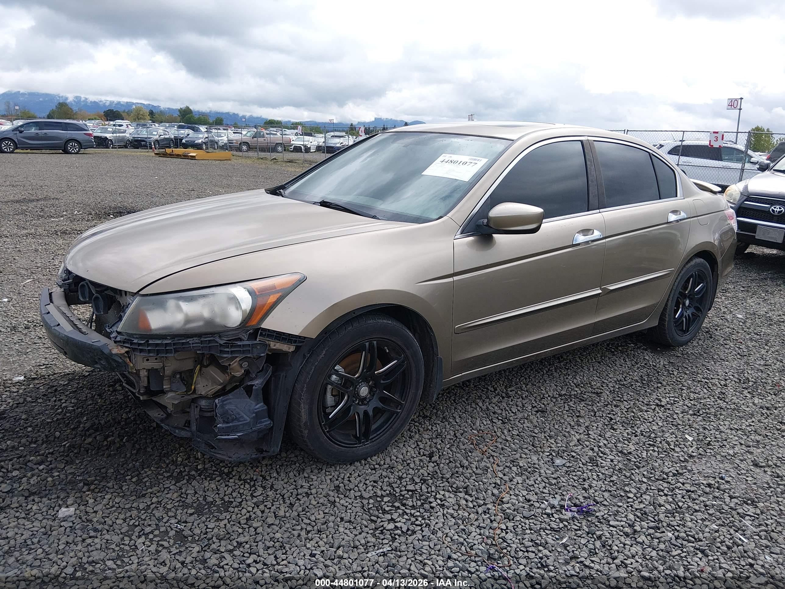 HONDA ACCORD image 2