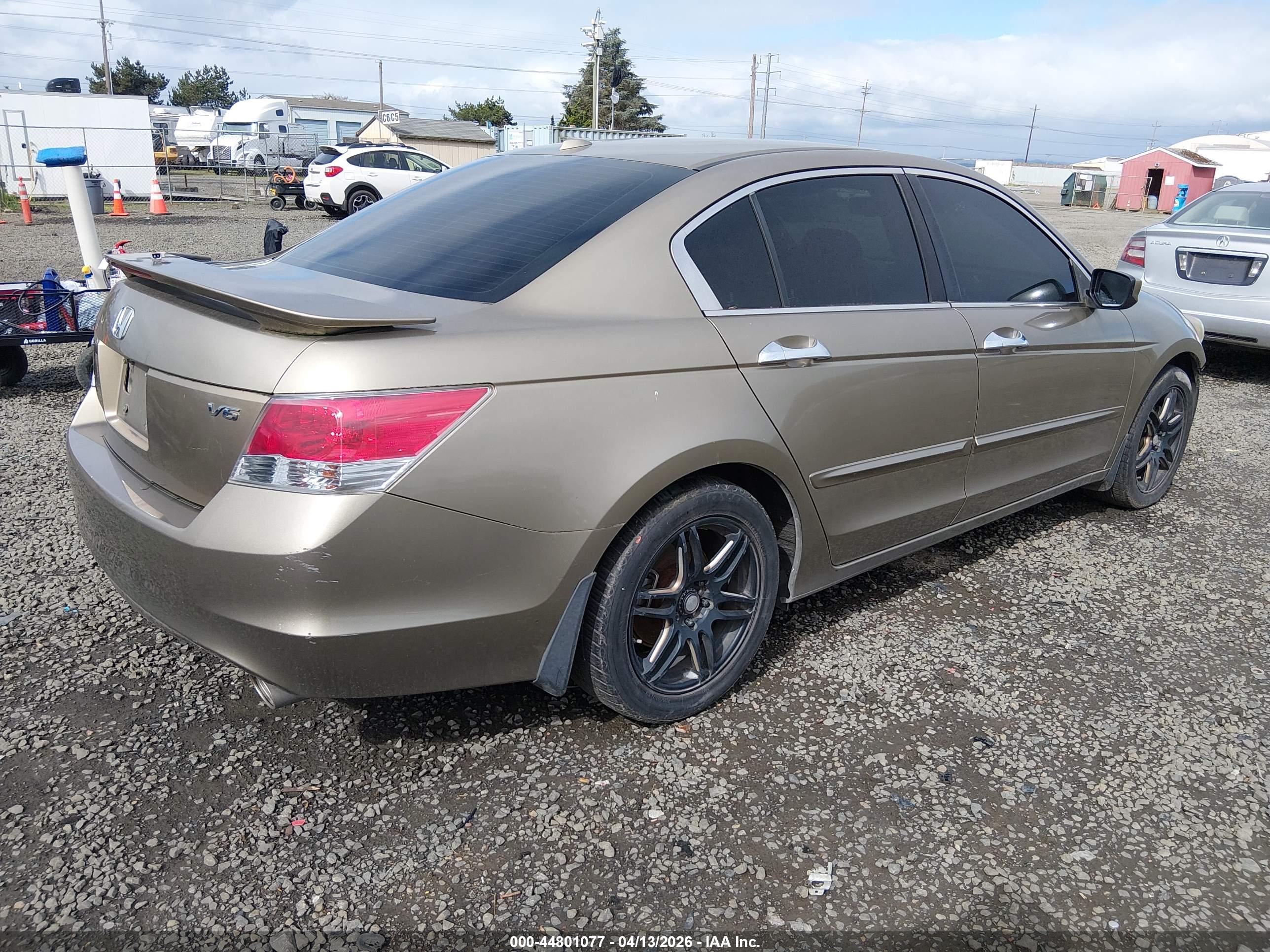HONDA ACCORD image 4