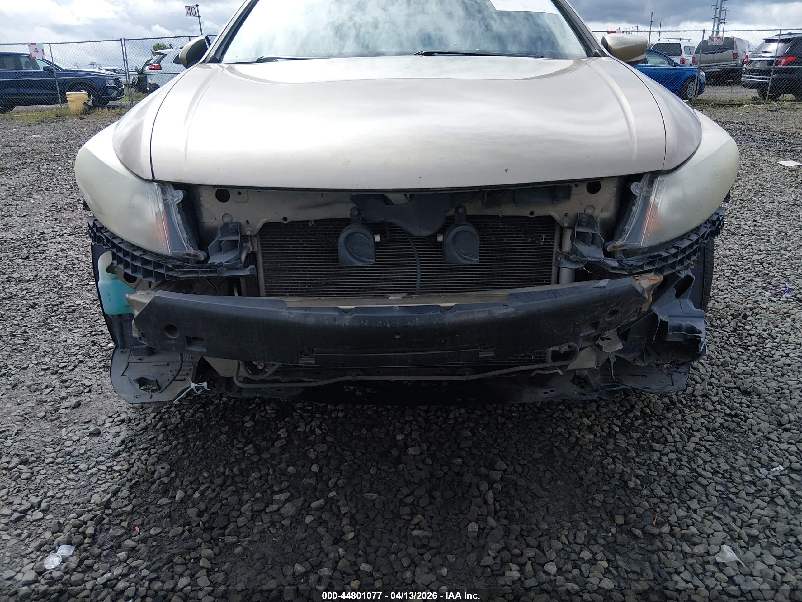 HONDA ACCORD image 6