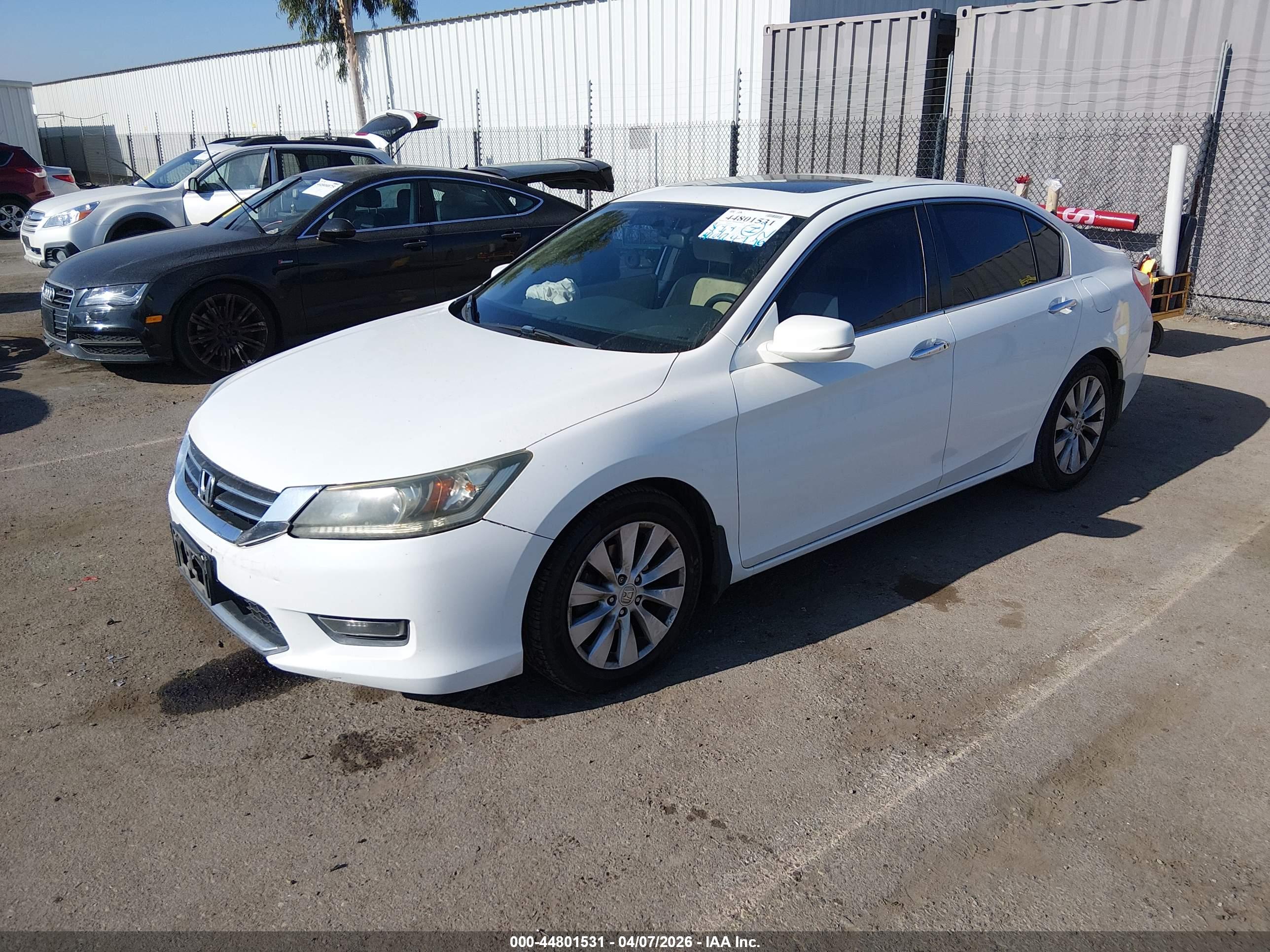 HONDA ACCORD image 2