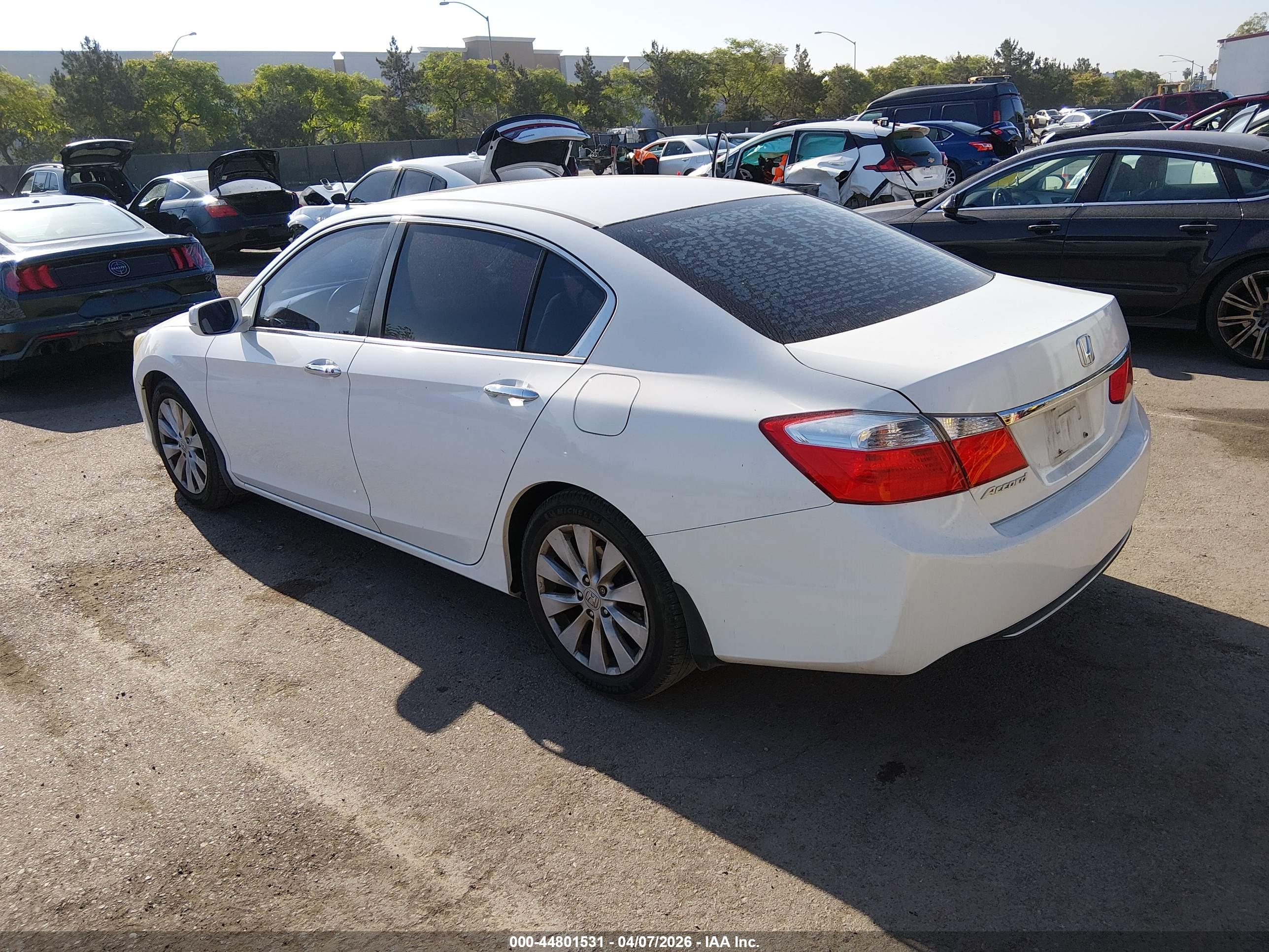 HONDA ACCORD image 3