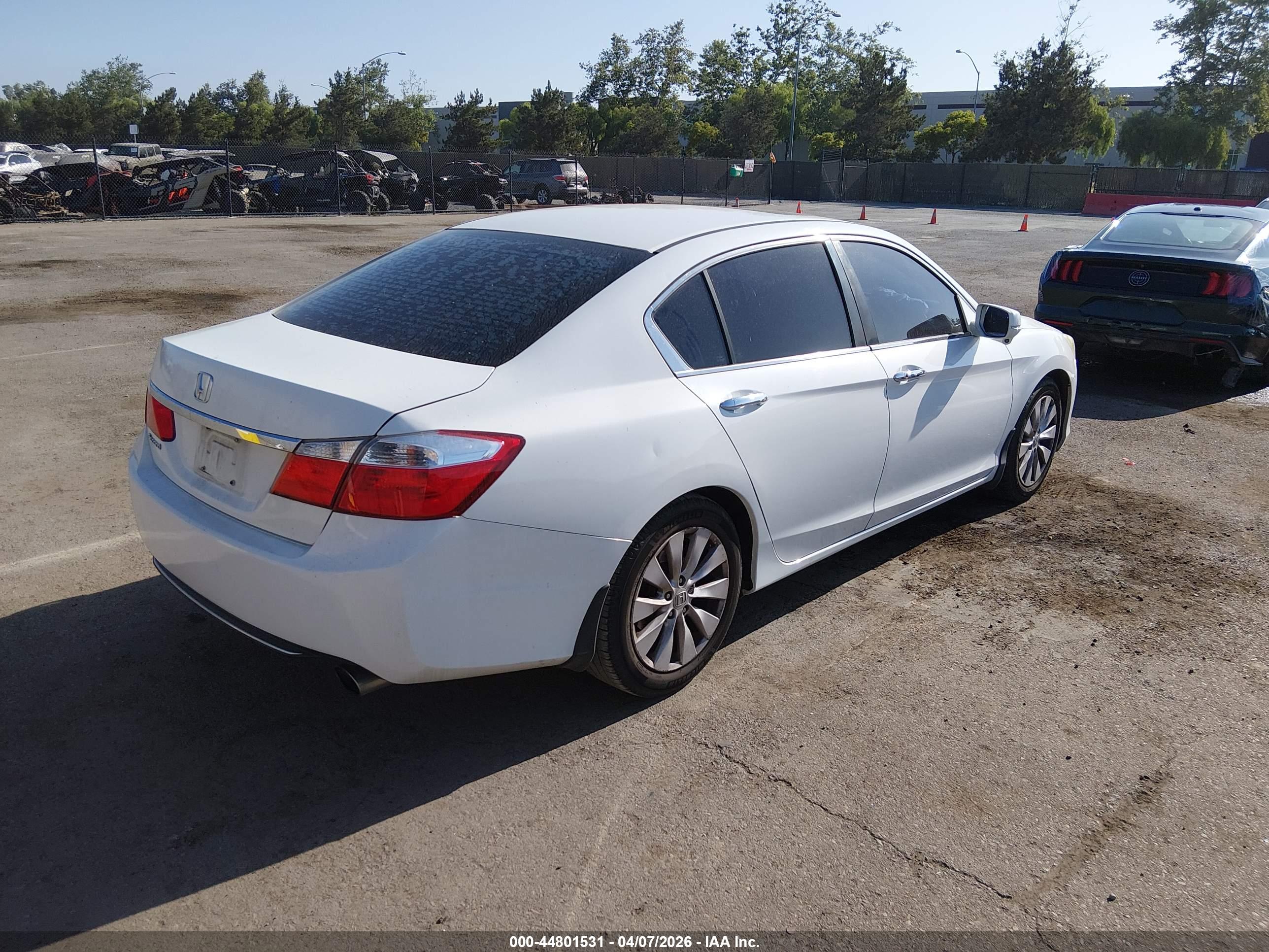 HONDA ACCORD image 4