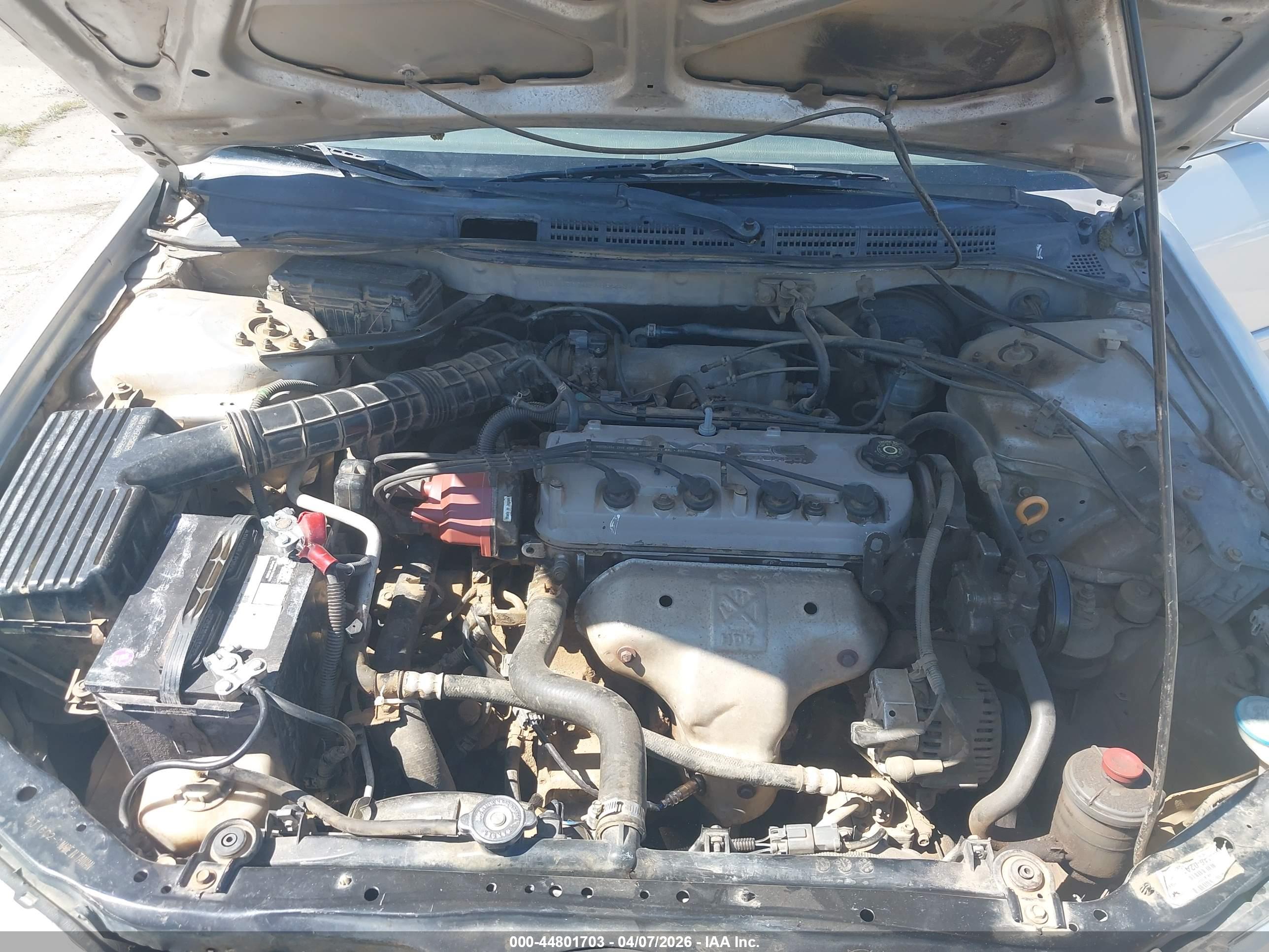 HONDA ACCORD image 10