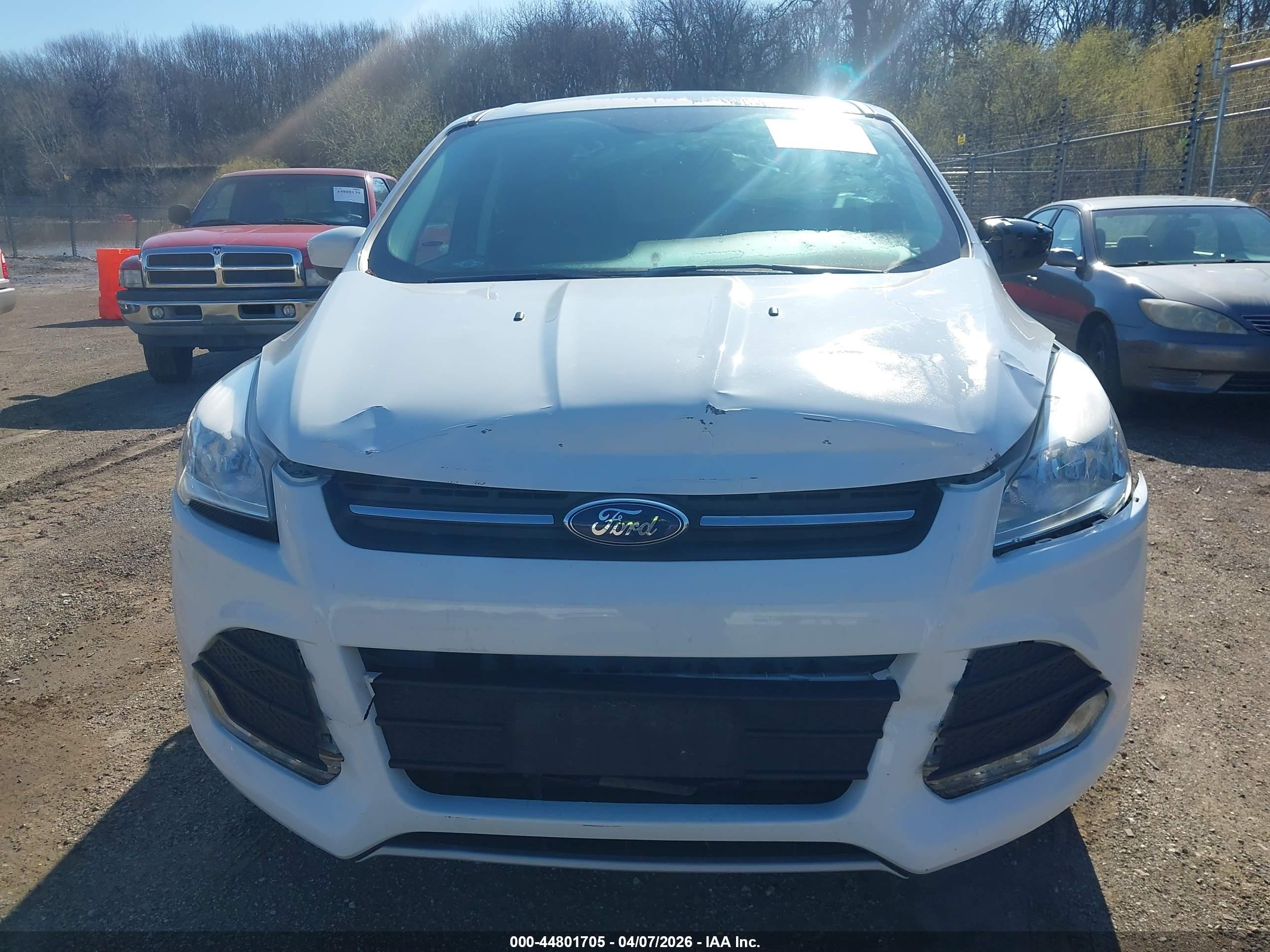 FORD ESCAPE image 6