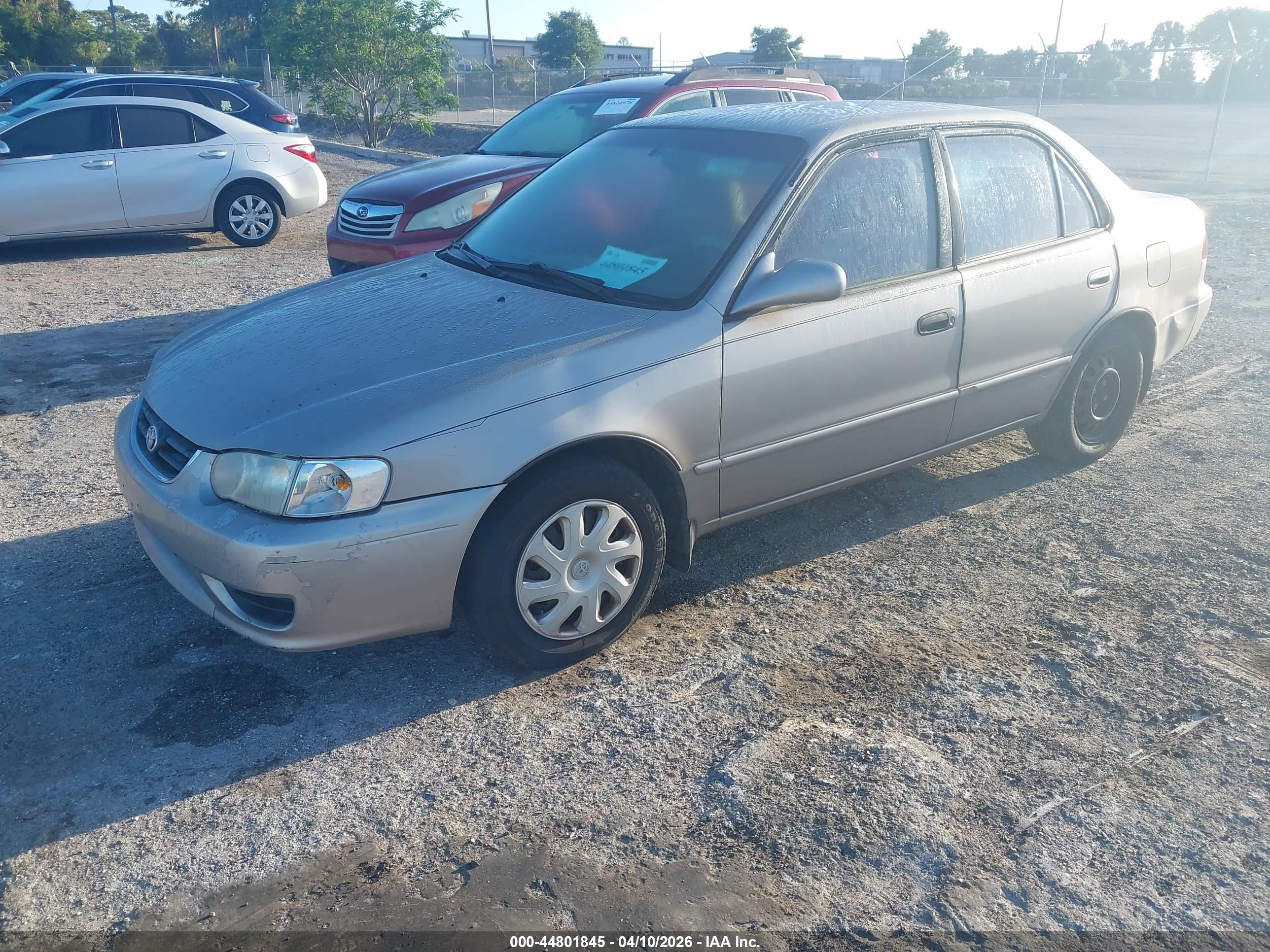 TOYOTA COROLLA image 2