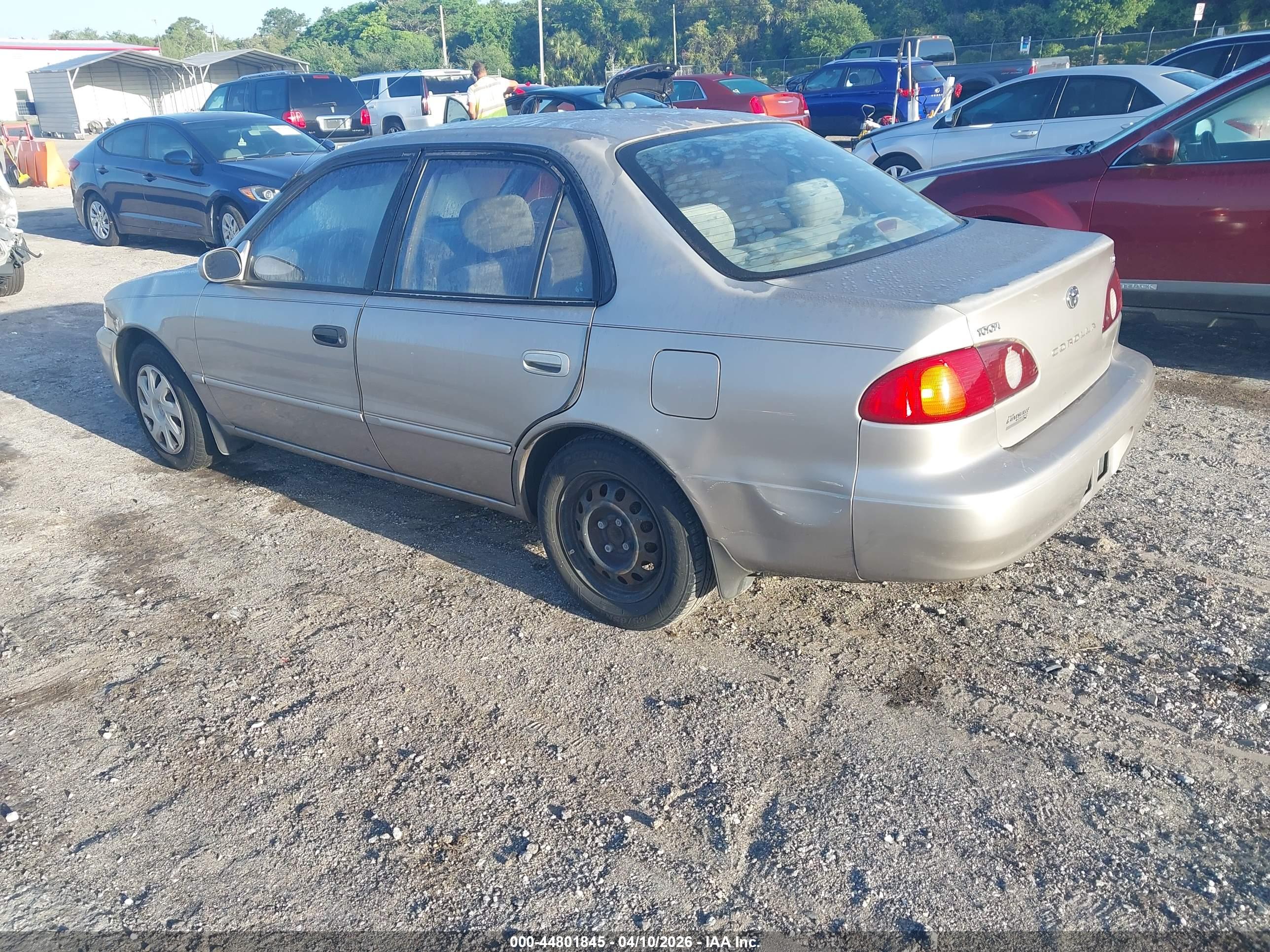 TOYOTA COROLLA image 3