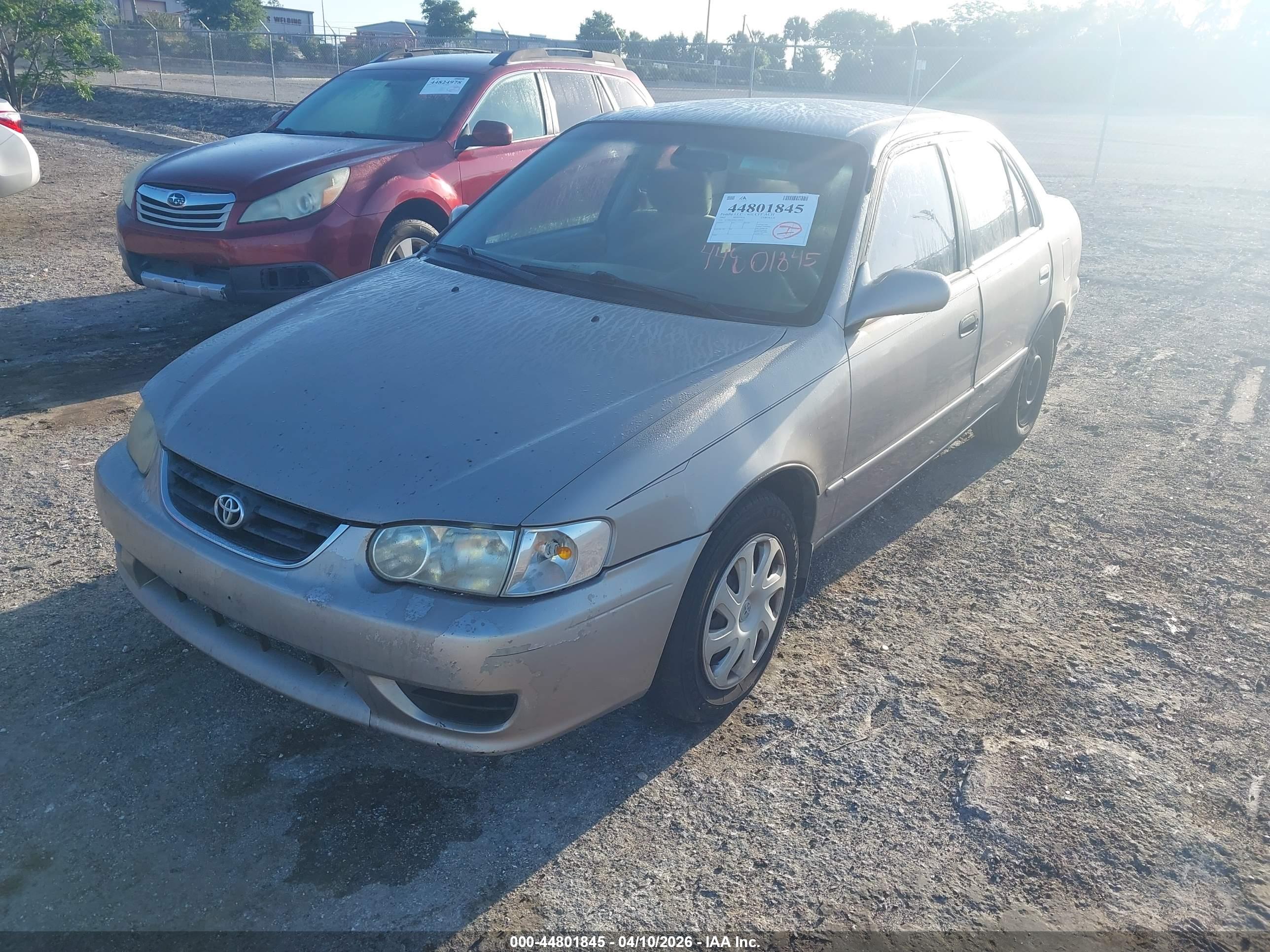 TOYOTA COROLLA image 6