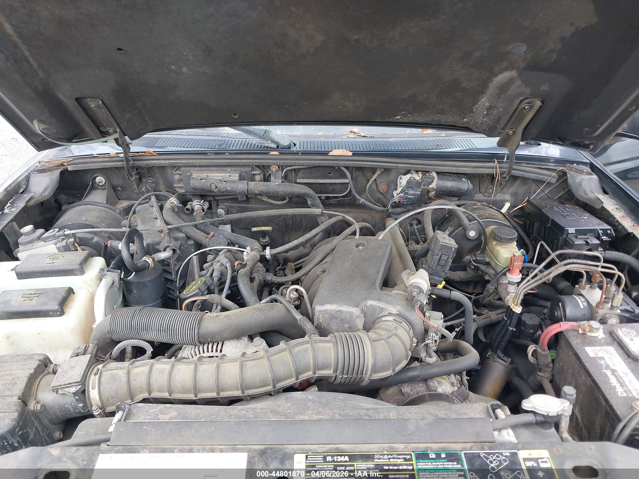 FORD RANGER image 10