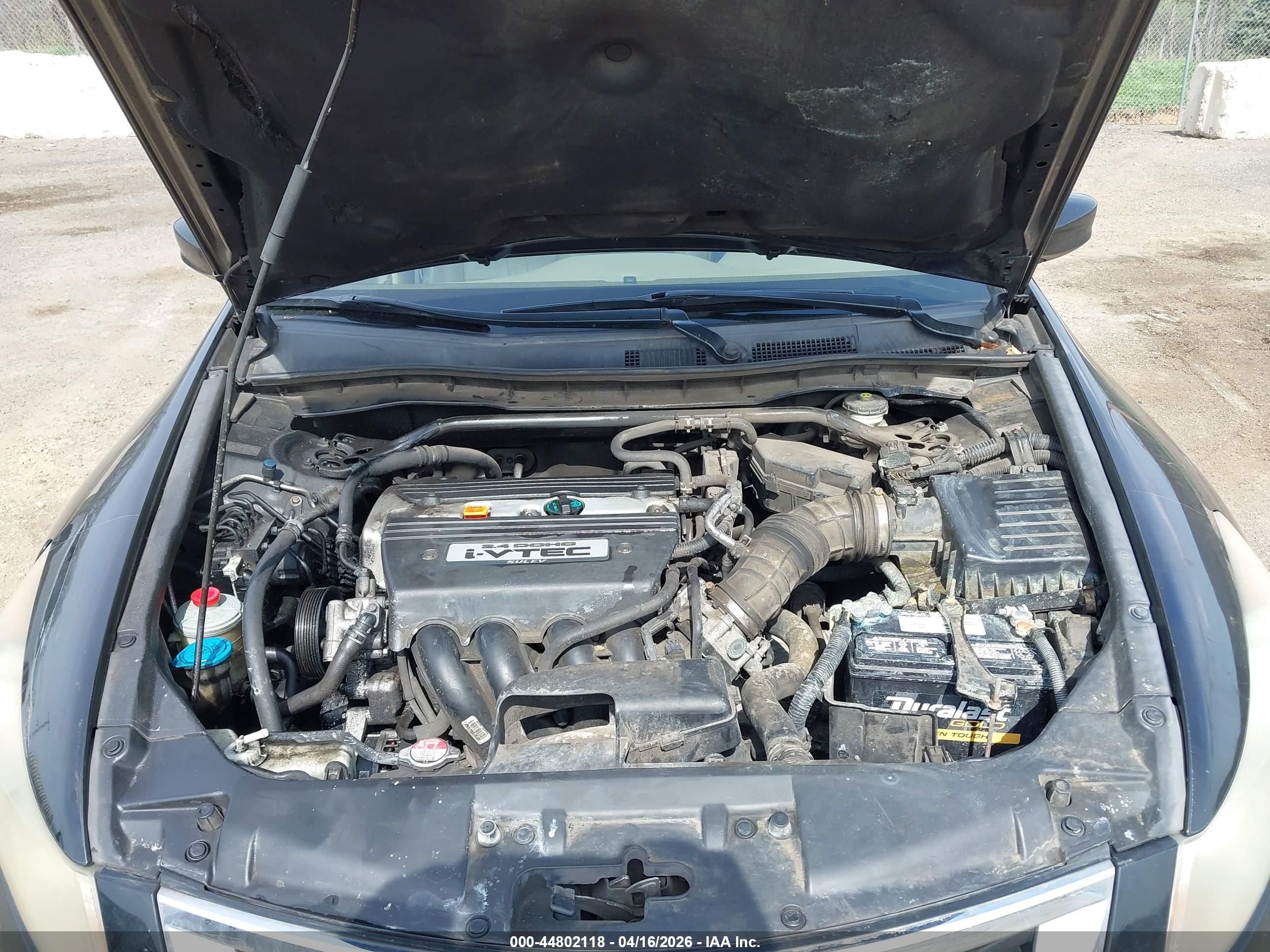 HONDA ACCORD image 10
