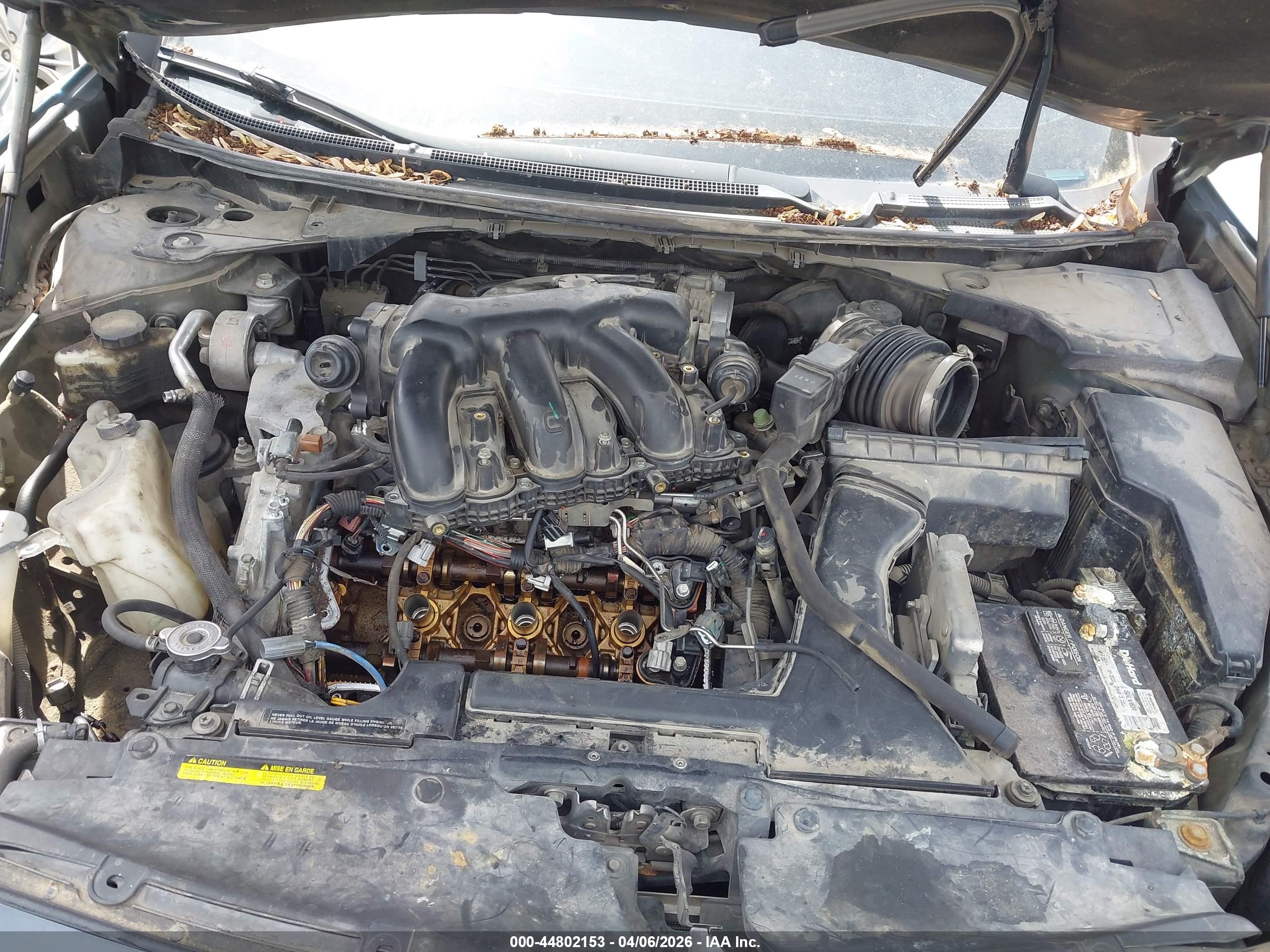NISSAN MAXIMA image 10