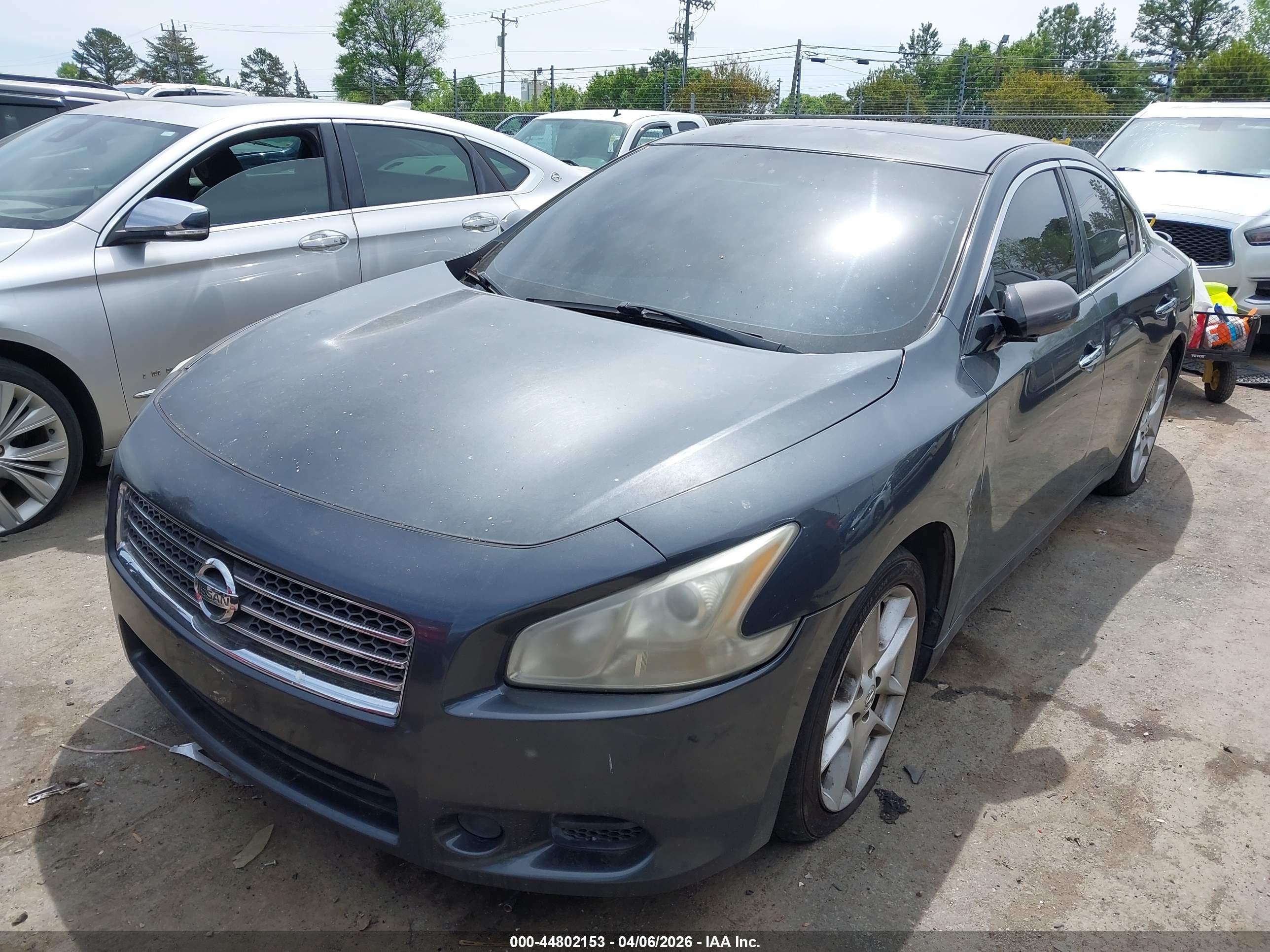 NISSAN MAXIMA image 2