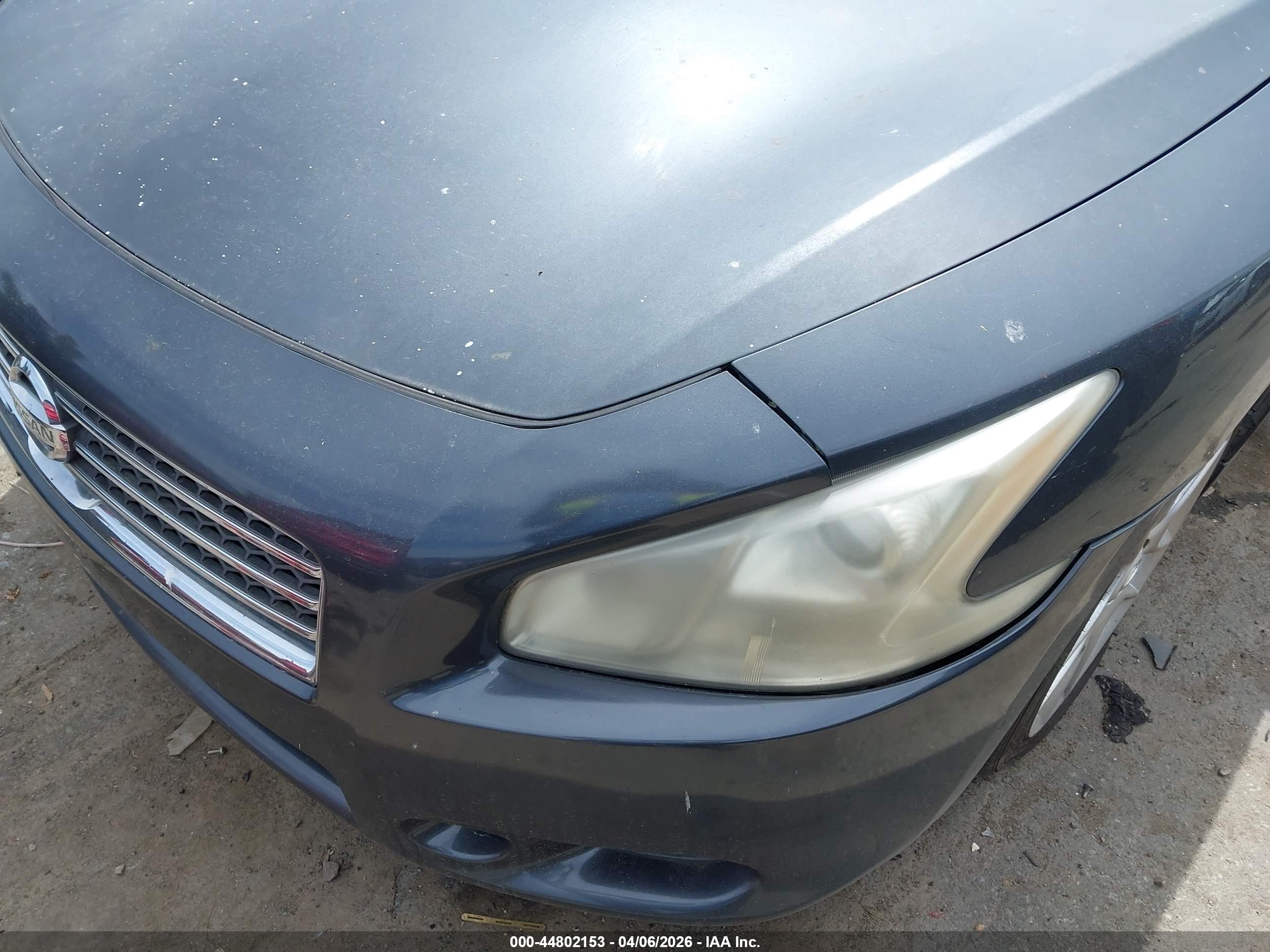 NISSAN MAXIMA image 6