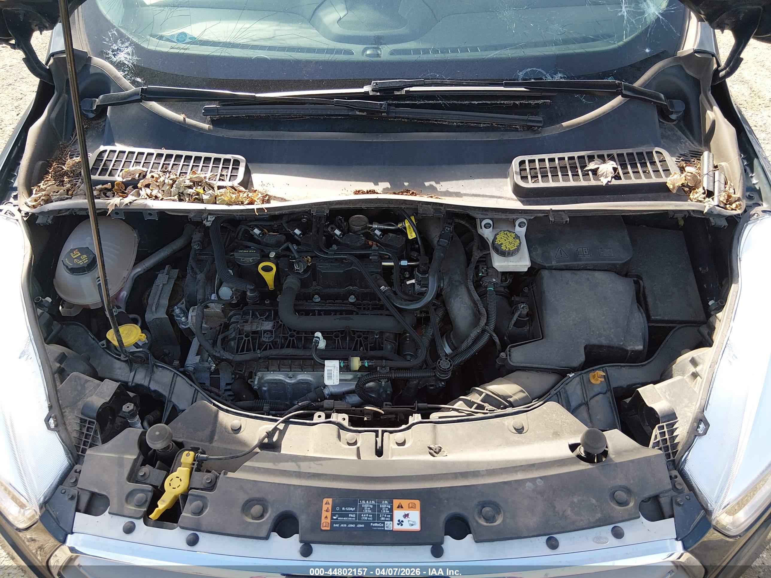 FORD ESCAPE image 10