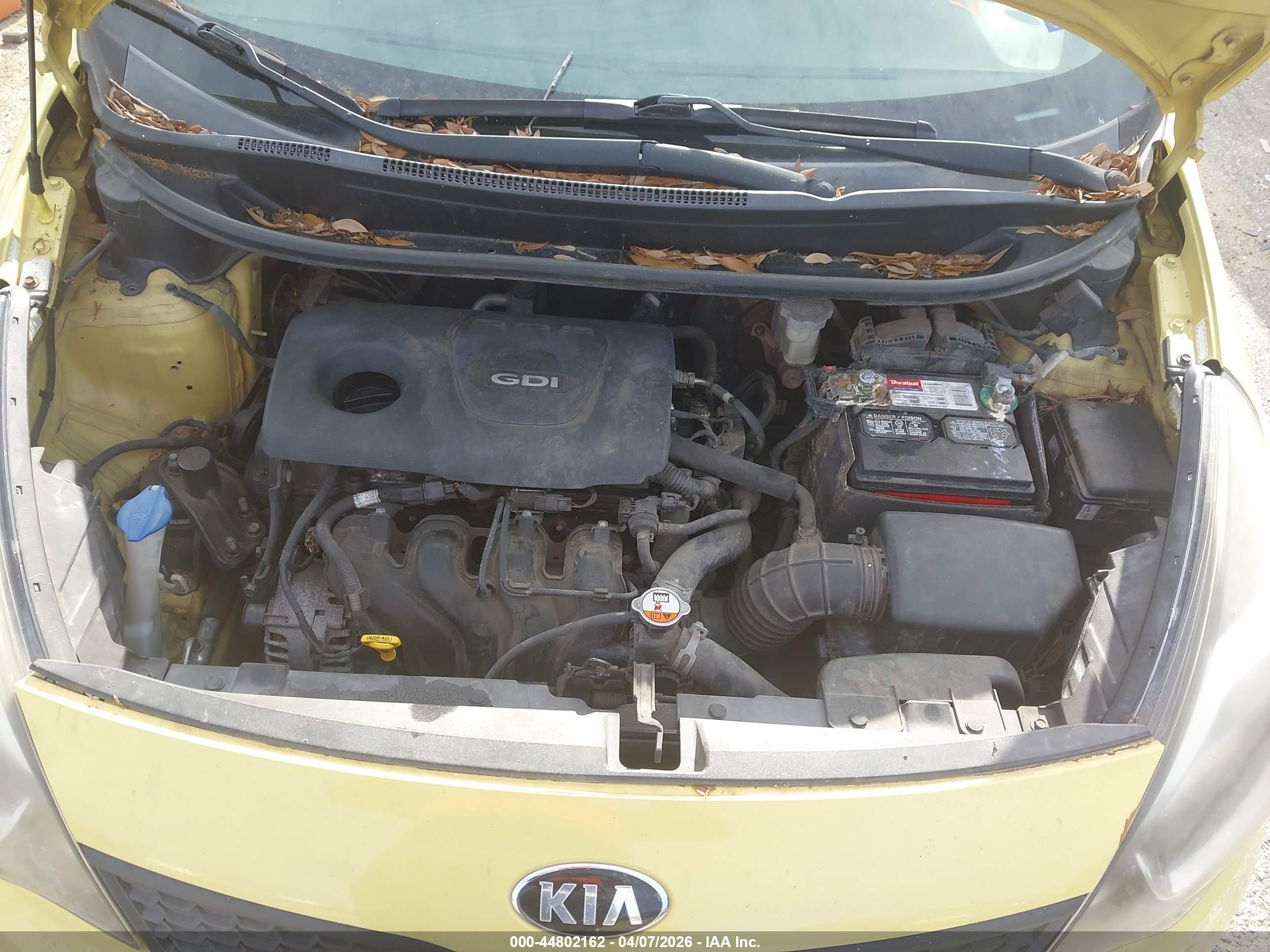 KIA RIO image 10
