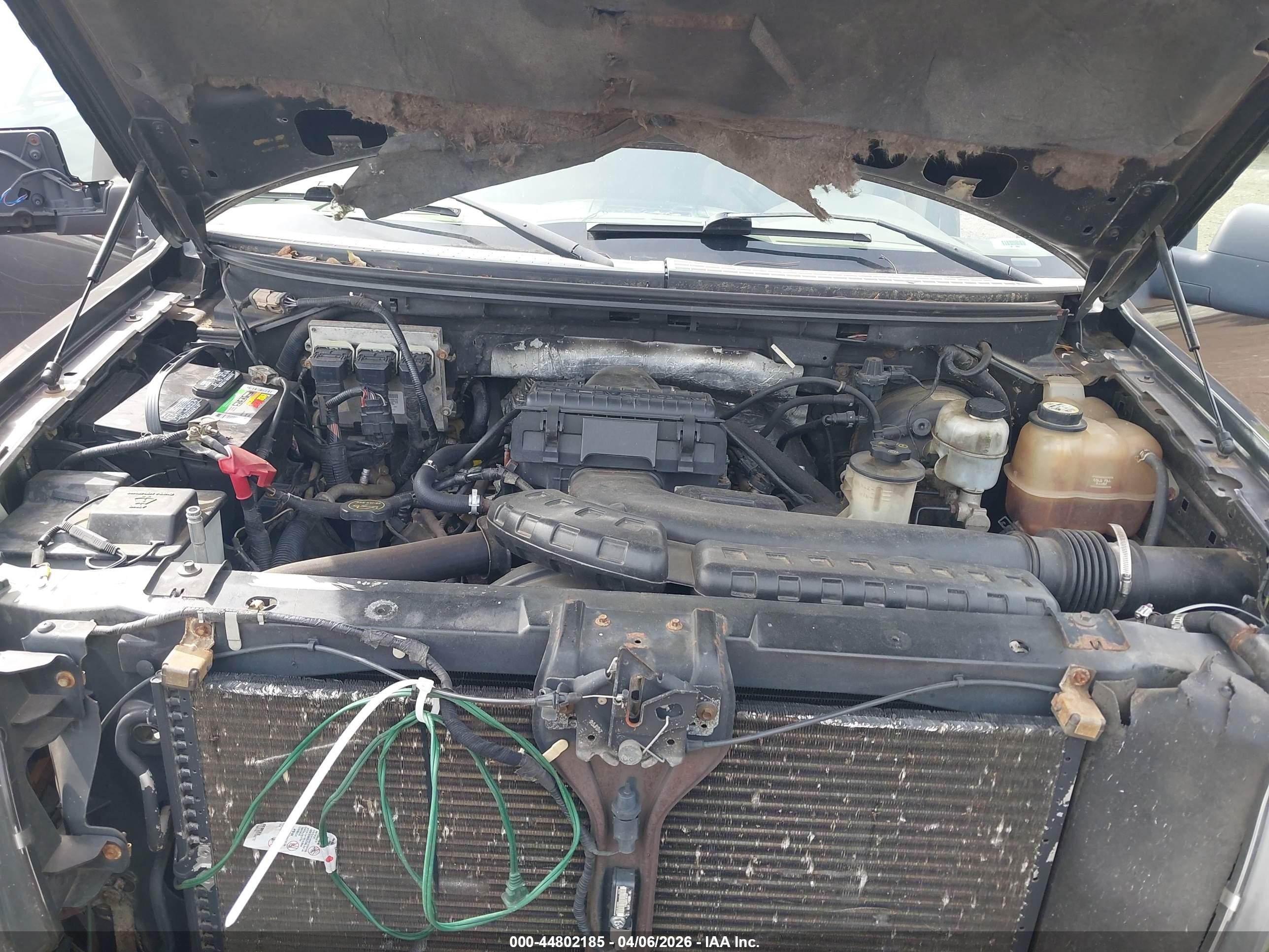 FORD F-150 image 10