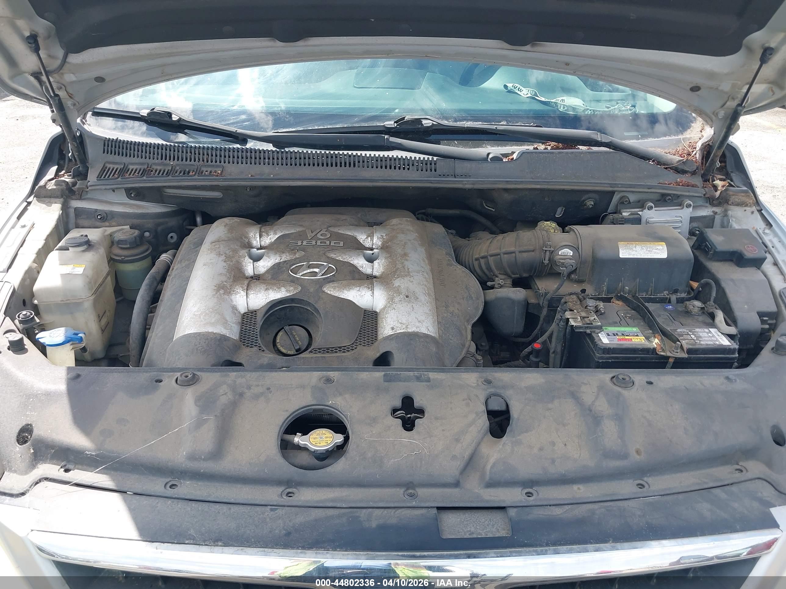HYUNDAI ENTOURAGE image 10