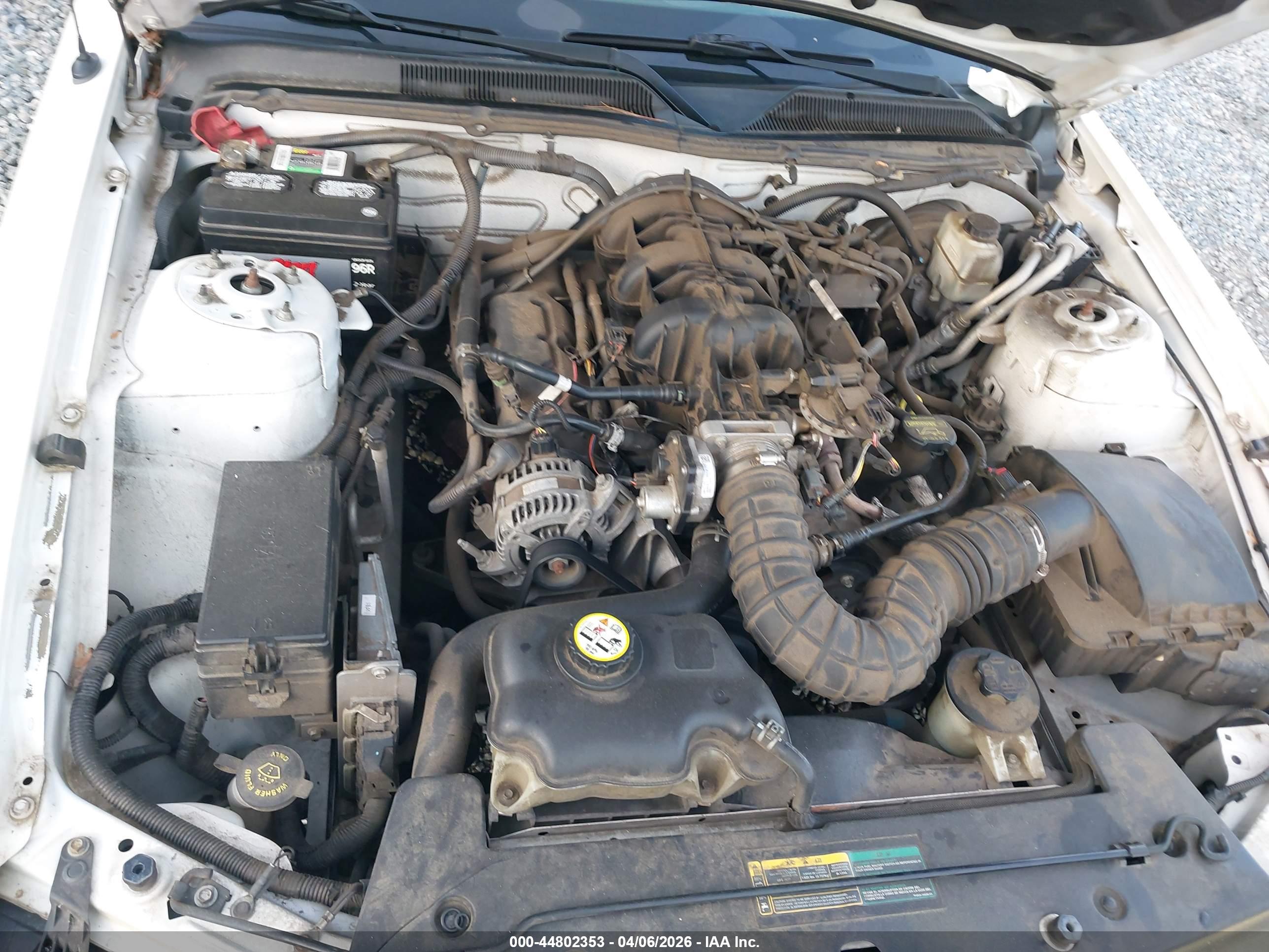 FORD MUSTANG image 10