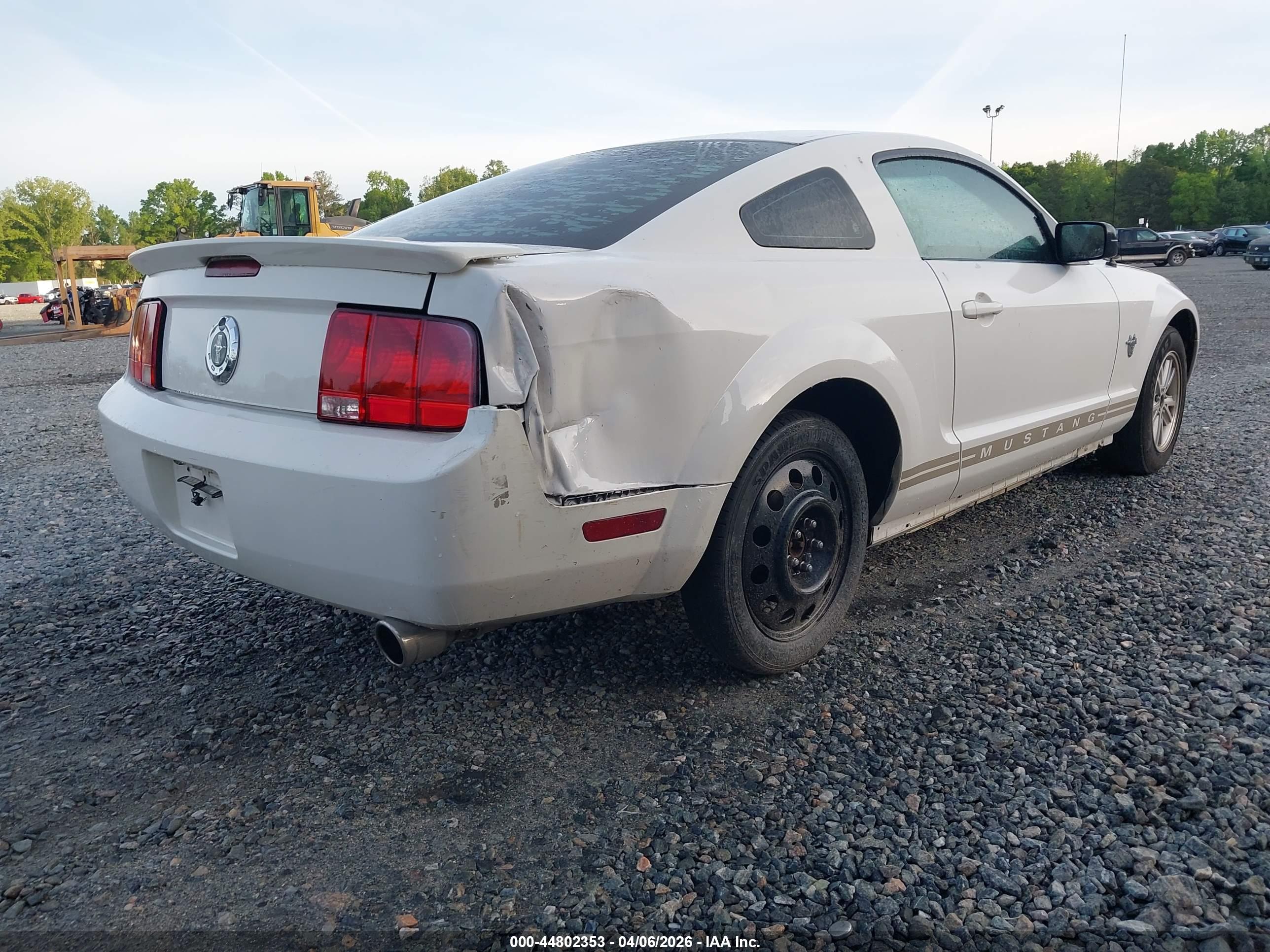 FORD MUSTANG image 4