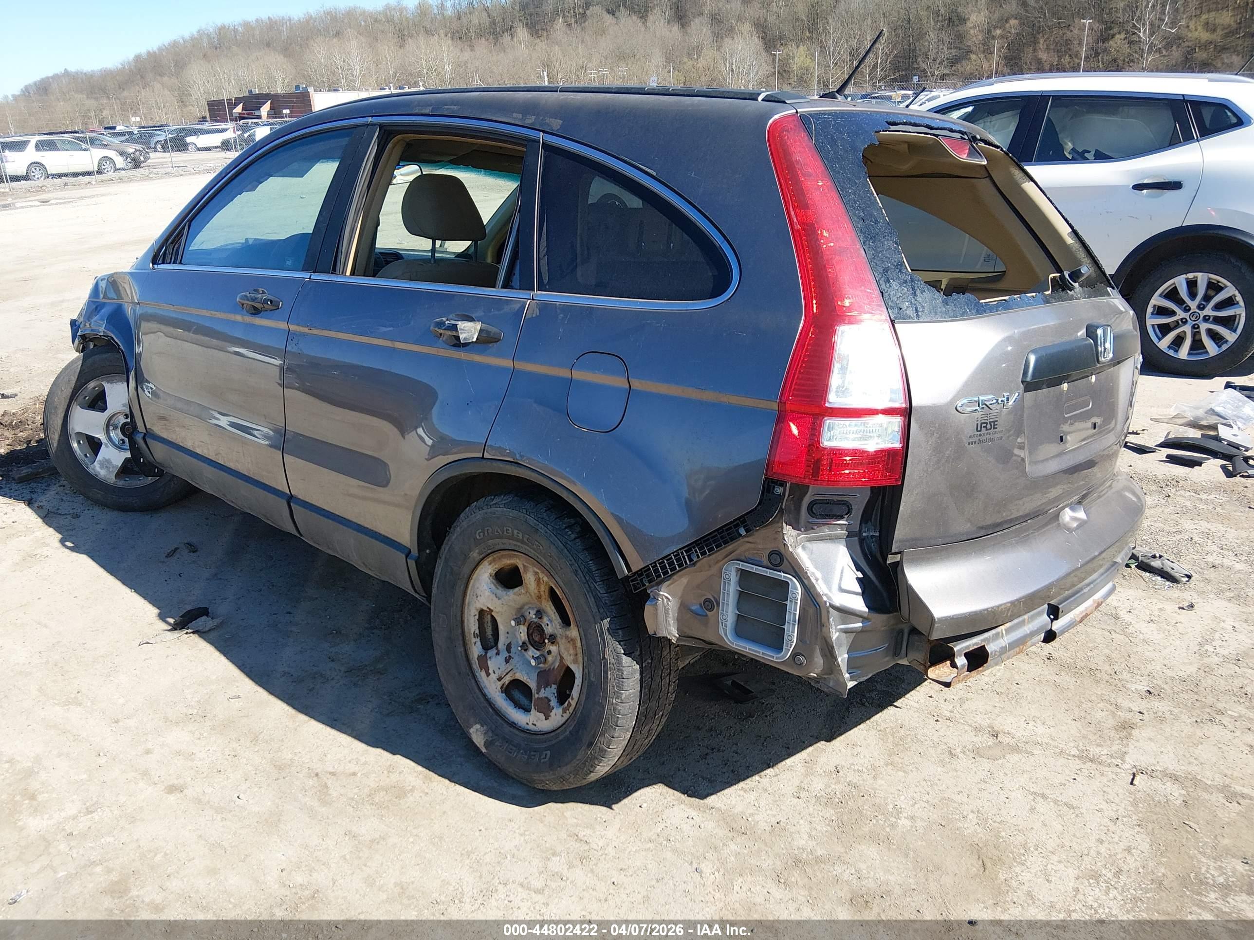 HONDA CR-V image 3