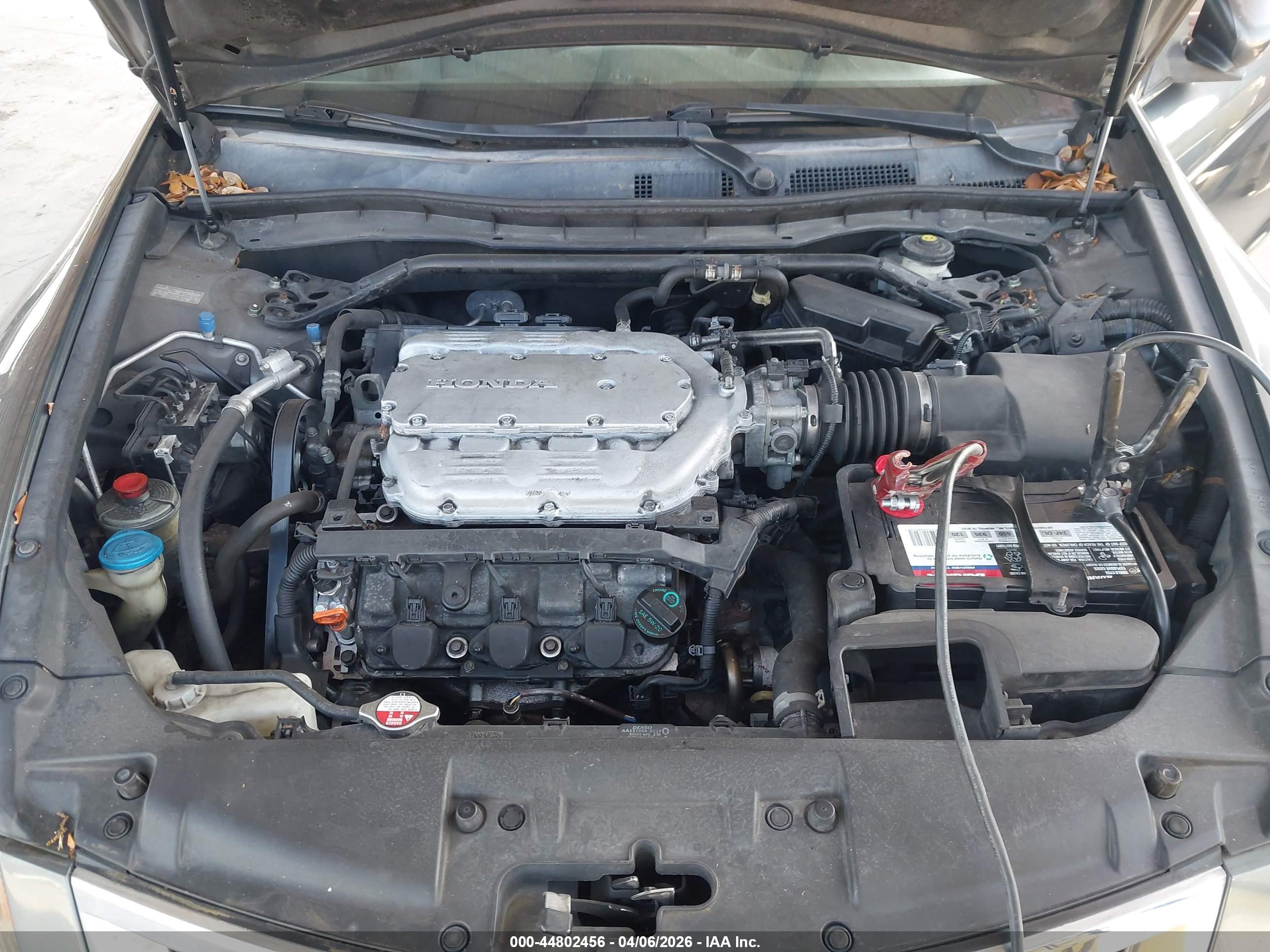HONDA ACCORD image 10