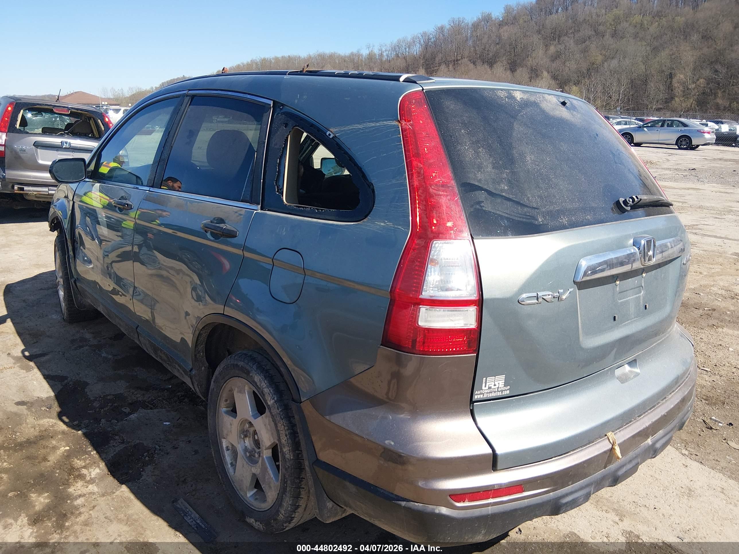 HONDA CR-V image 3